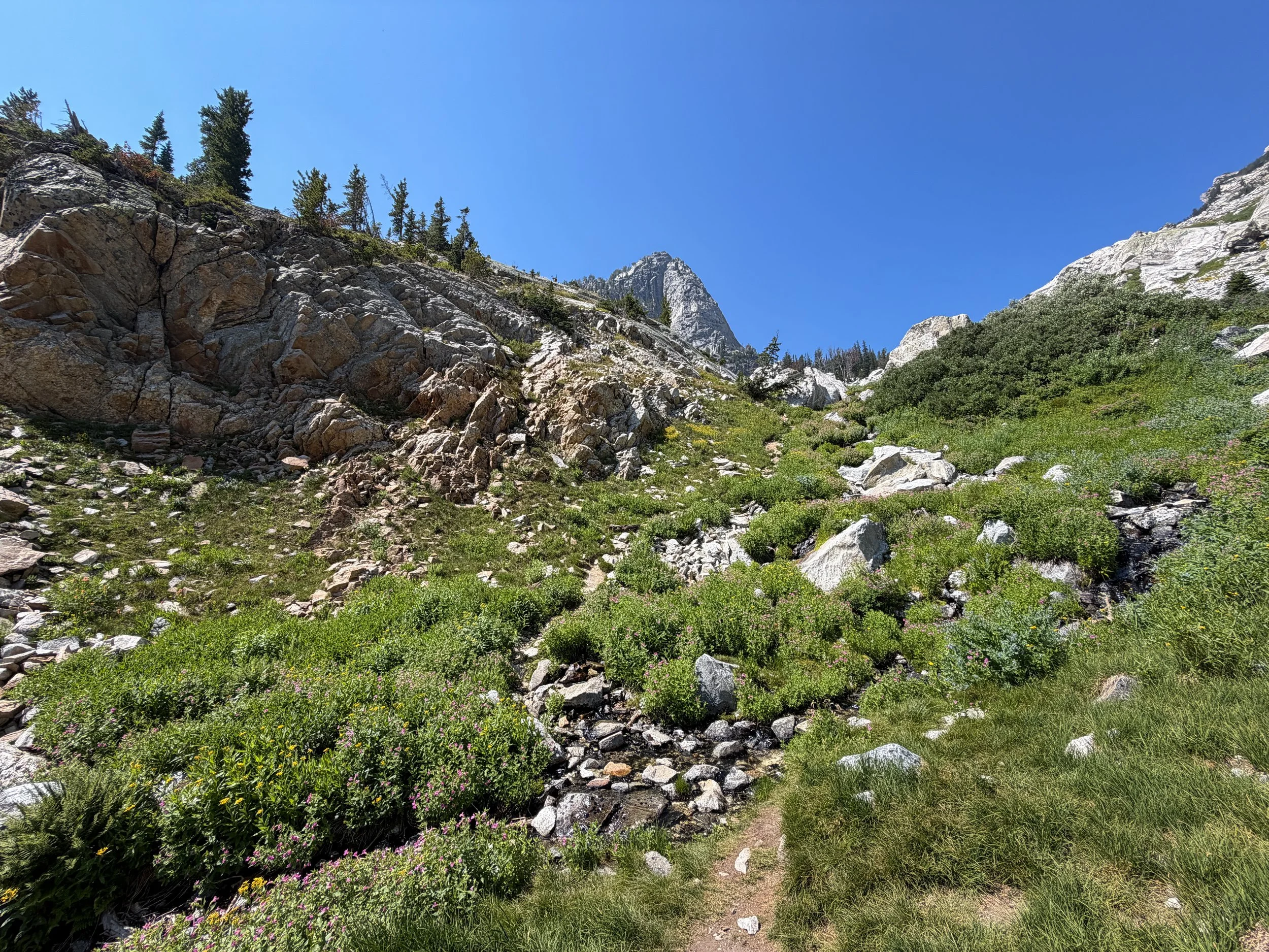 Lake of the Crags Trail Grand Teton National Park Wyoming