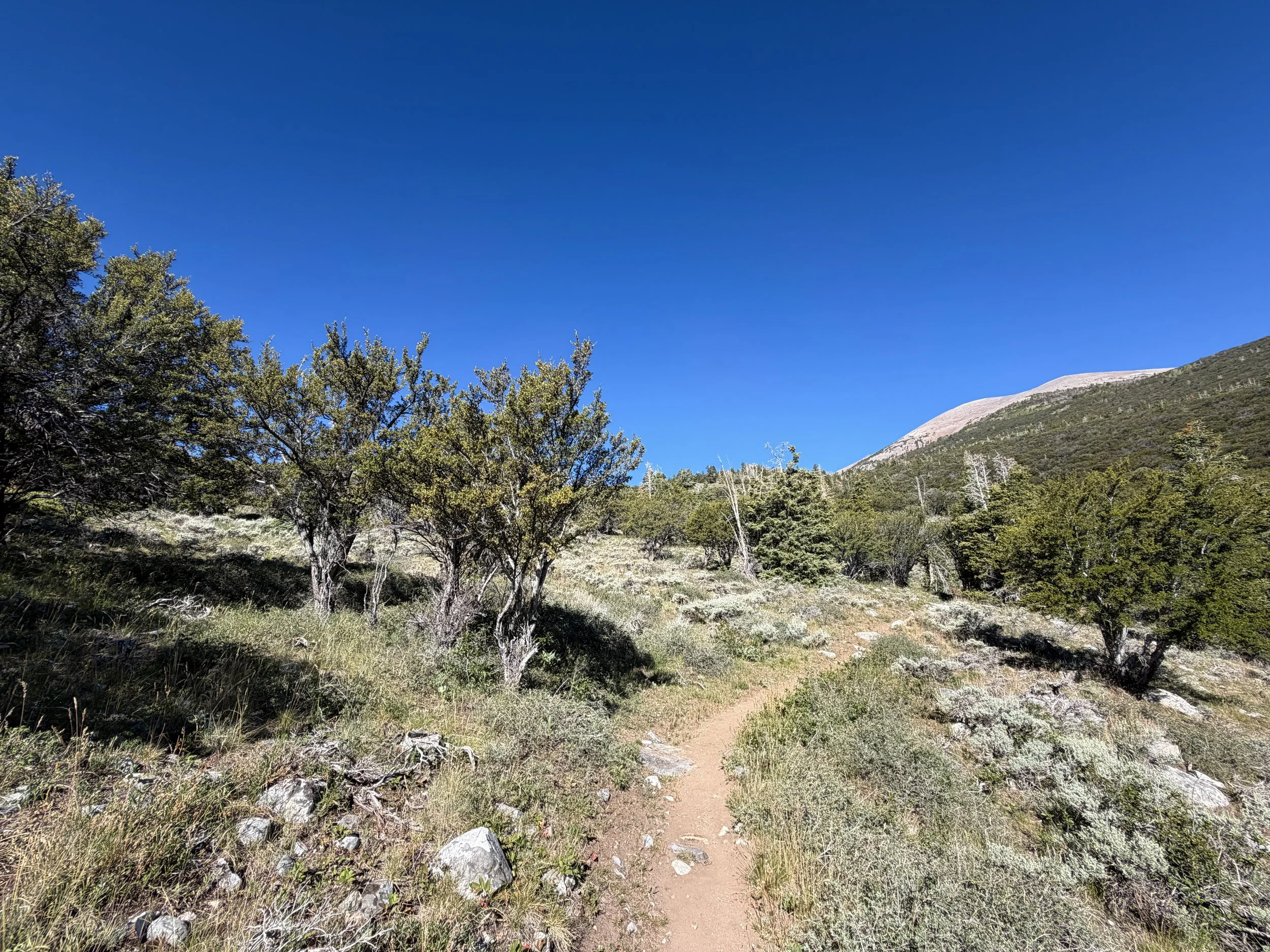 Baker Lake Hike Great Basin National Park Nevada