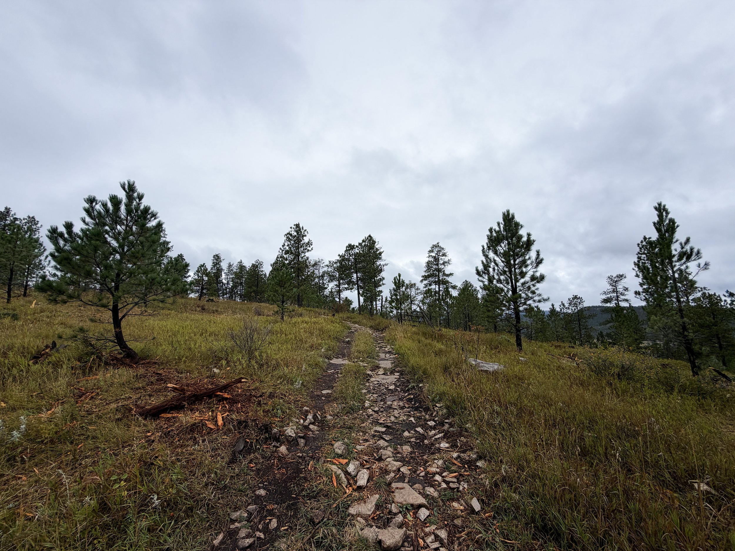 Buzzards Roost Trail Black Hills Rapid City South Dakota
