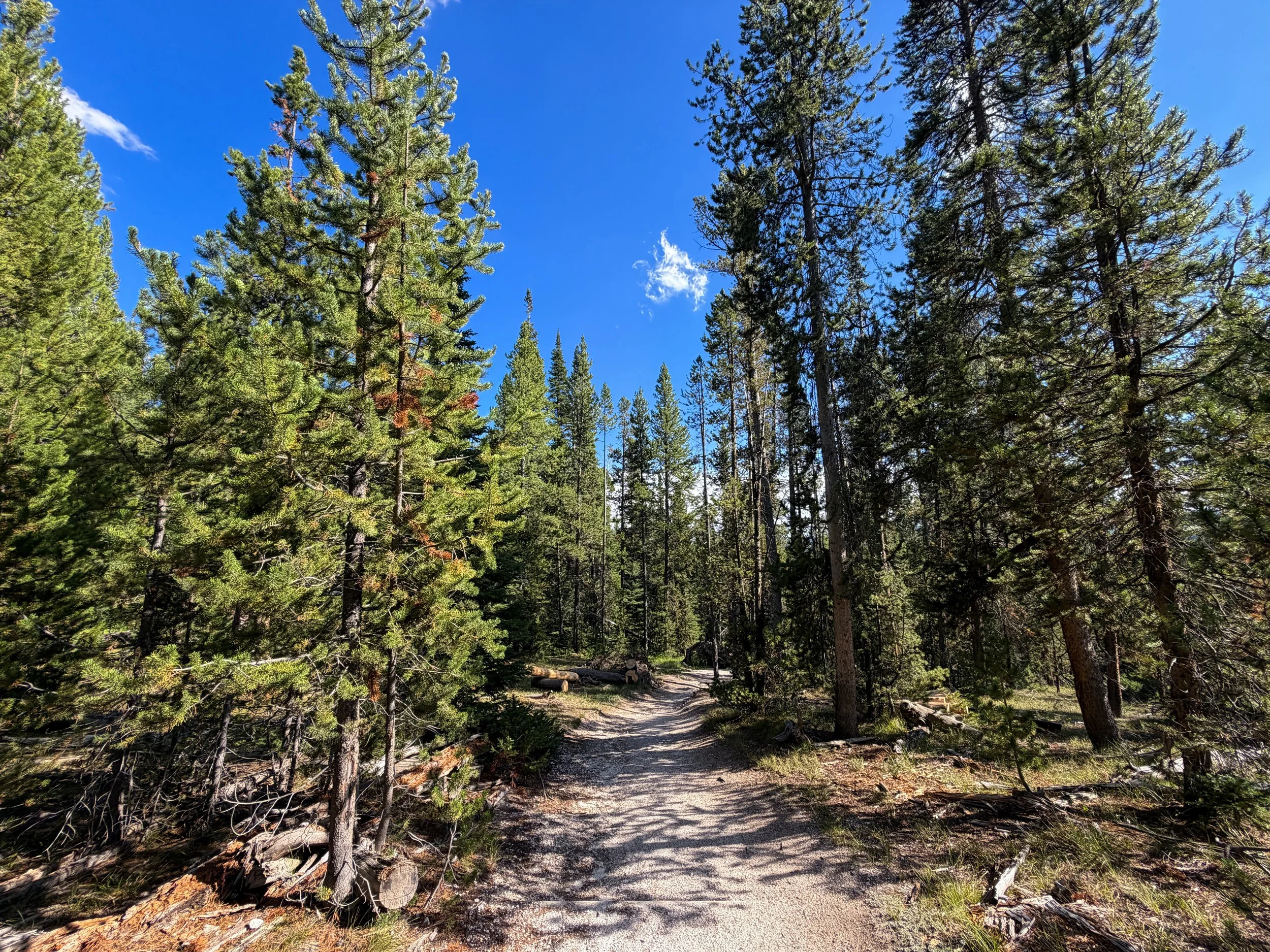 Observation Point Trail Yellowstone National Park Wyoming