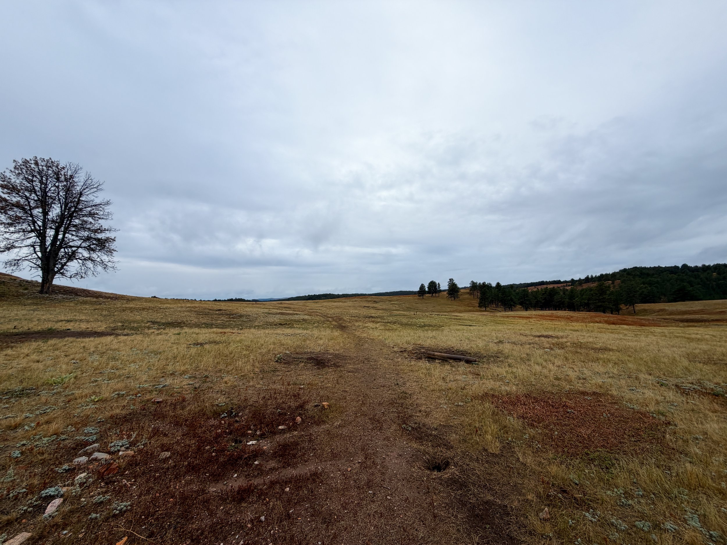 Highland Creek Trail Wind Cave National Park South Dakota