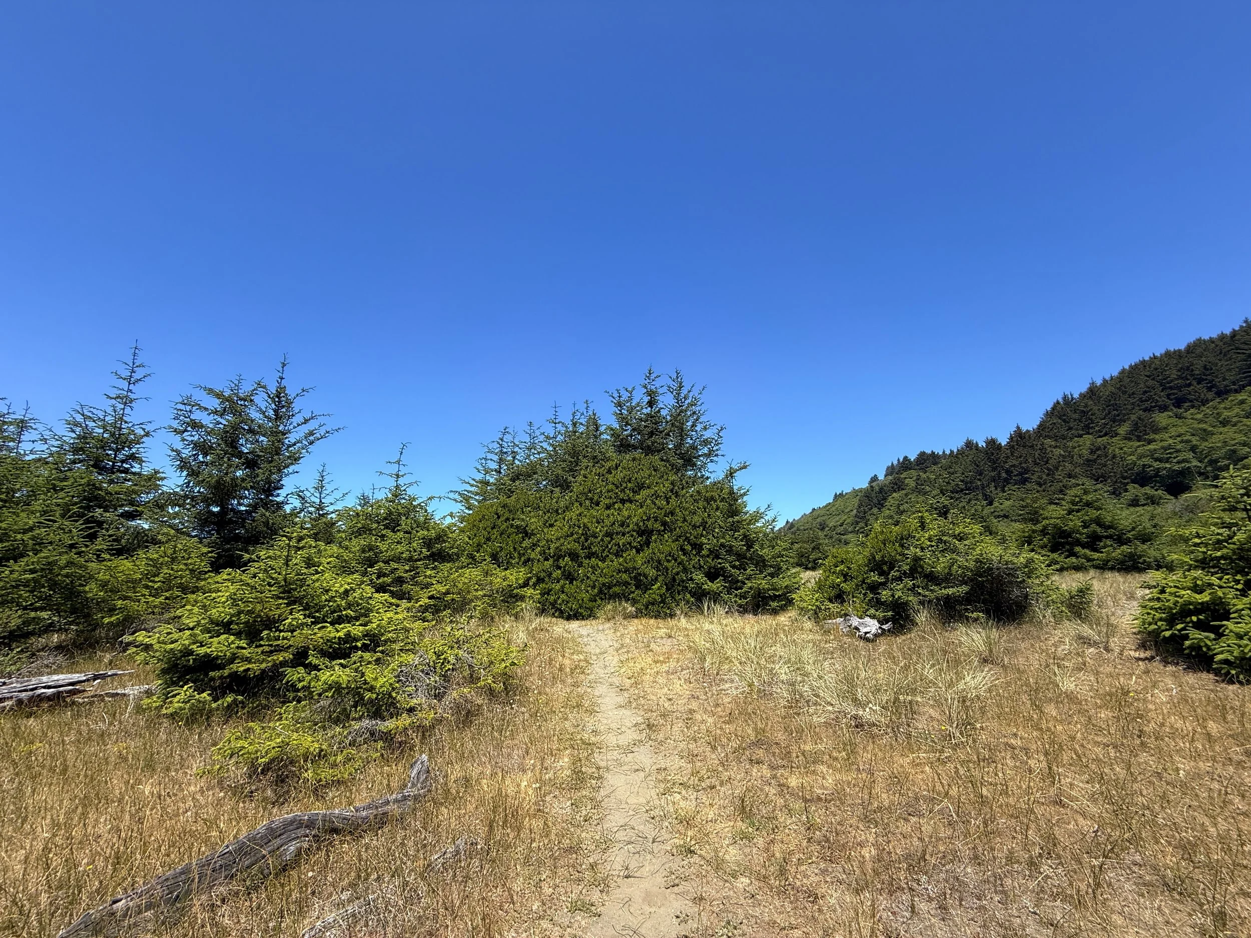 Ossagon Trail Prairie Creek Redwoods State Park California