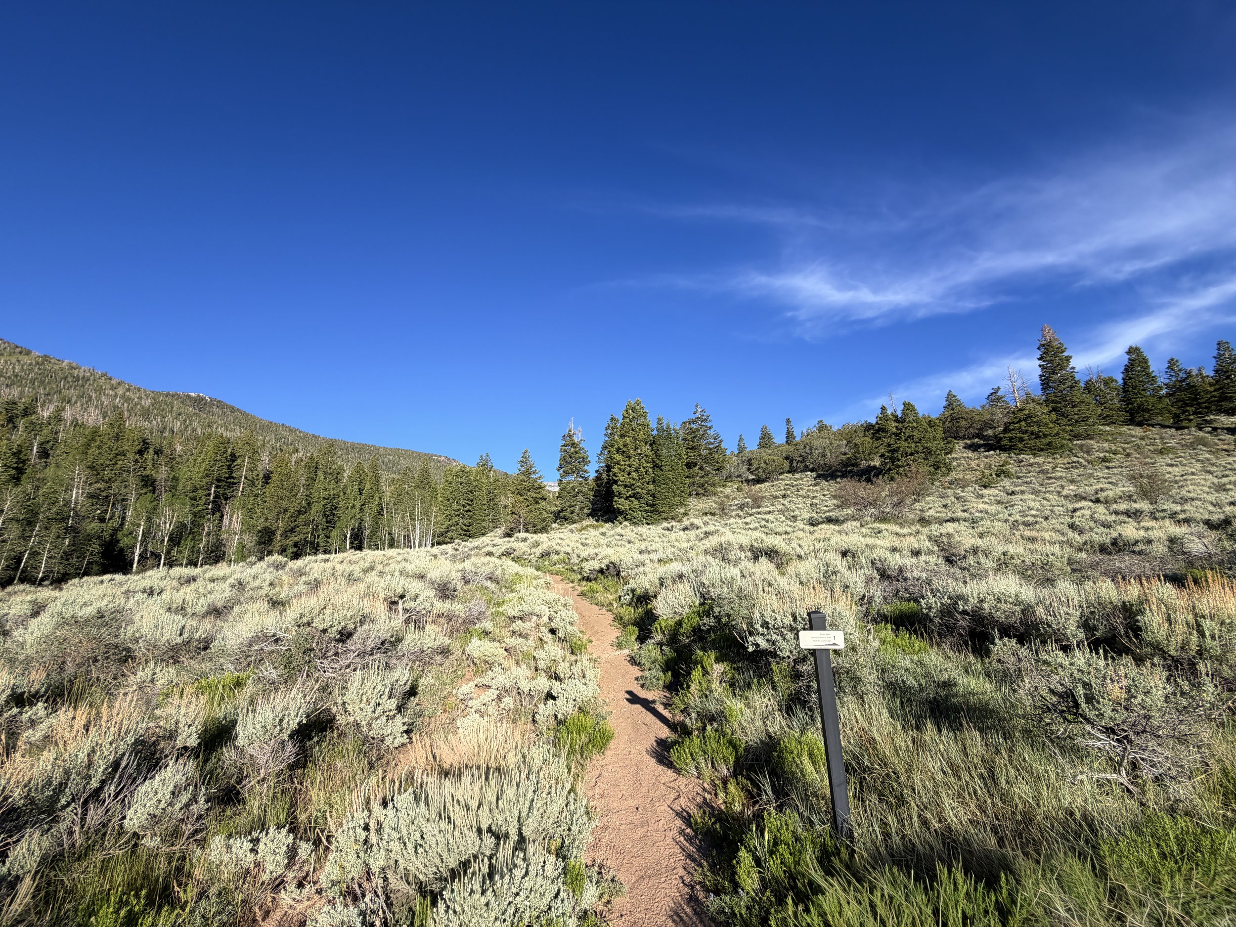 Snake Creek Overlook Trail Great Basin National Park Nevada