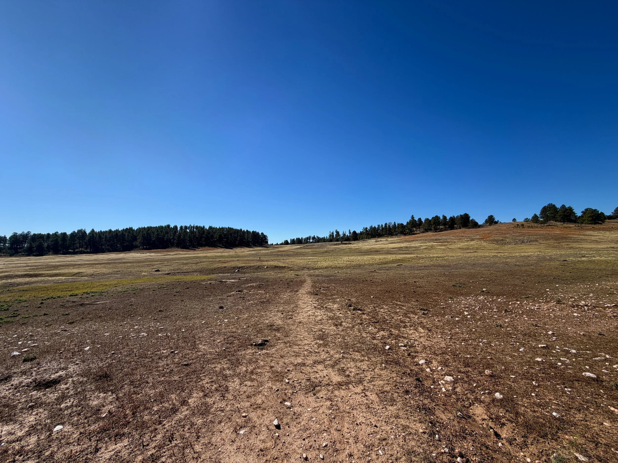 Sanctuary Trail Wind Cave National Park South Dakota