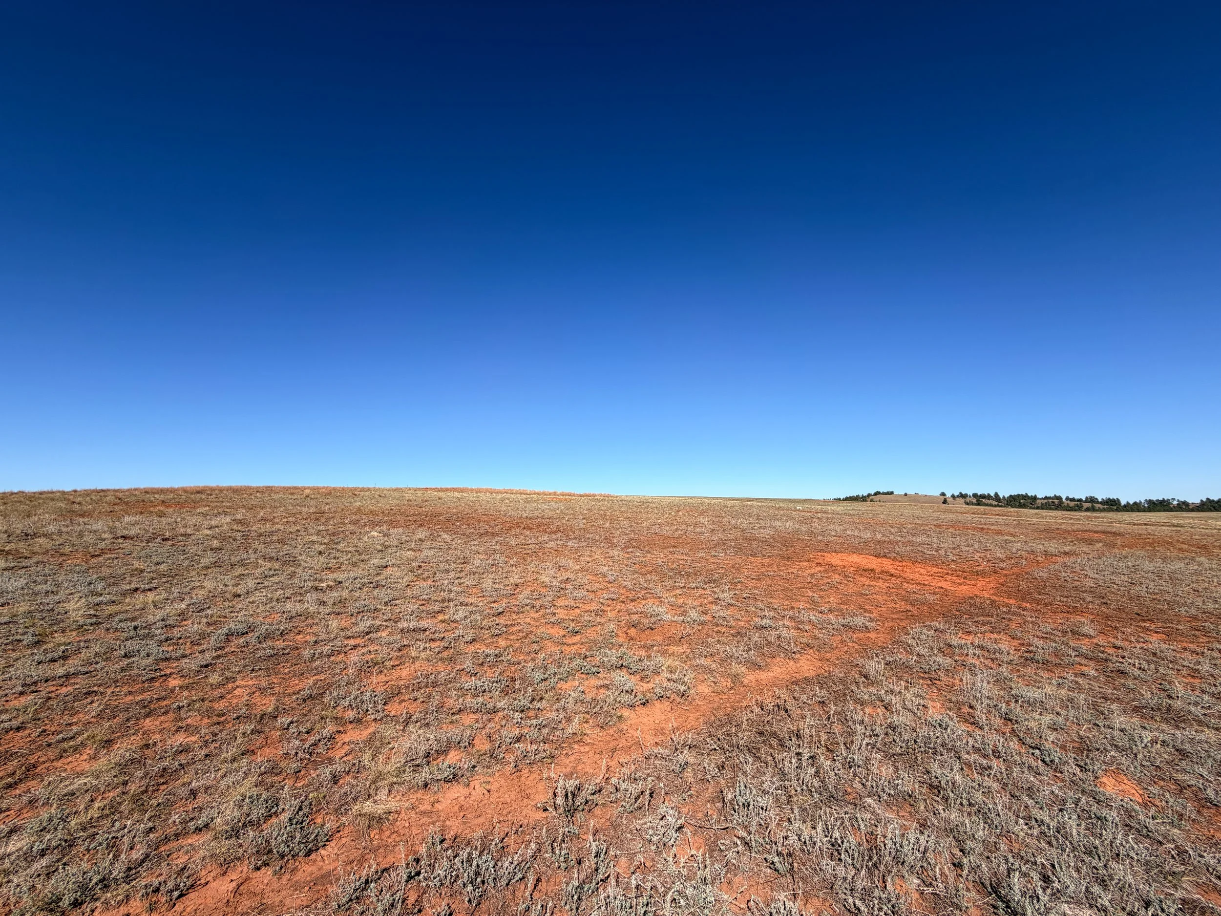 East Bison Flats Trail to Wind Cave Canyon Wind Cave National Park South Dakota