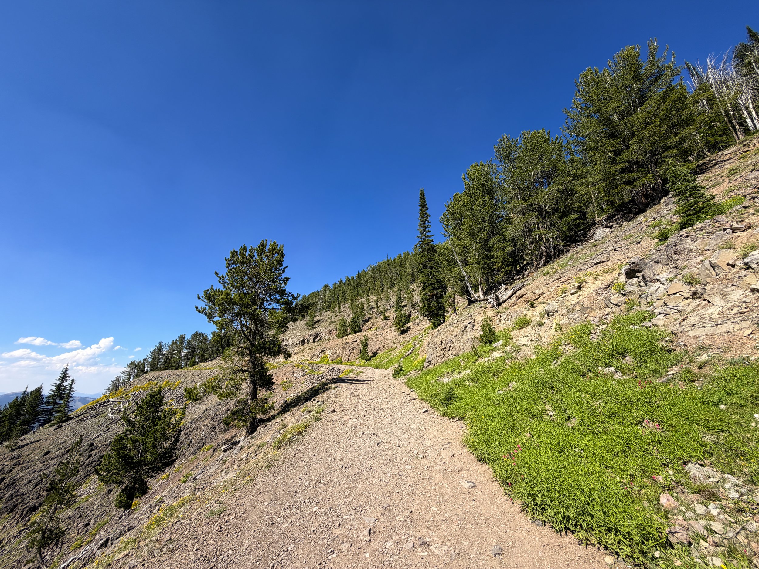 Mount Washburn Hike via Dunraven Pass Yellowstone National Park Wyoming