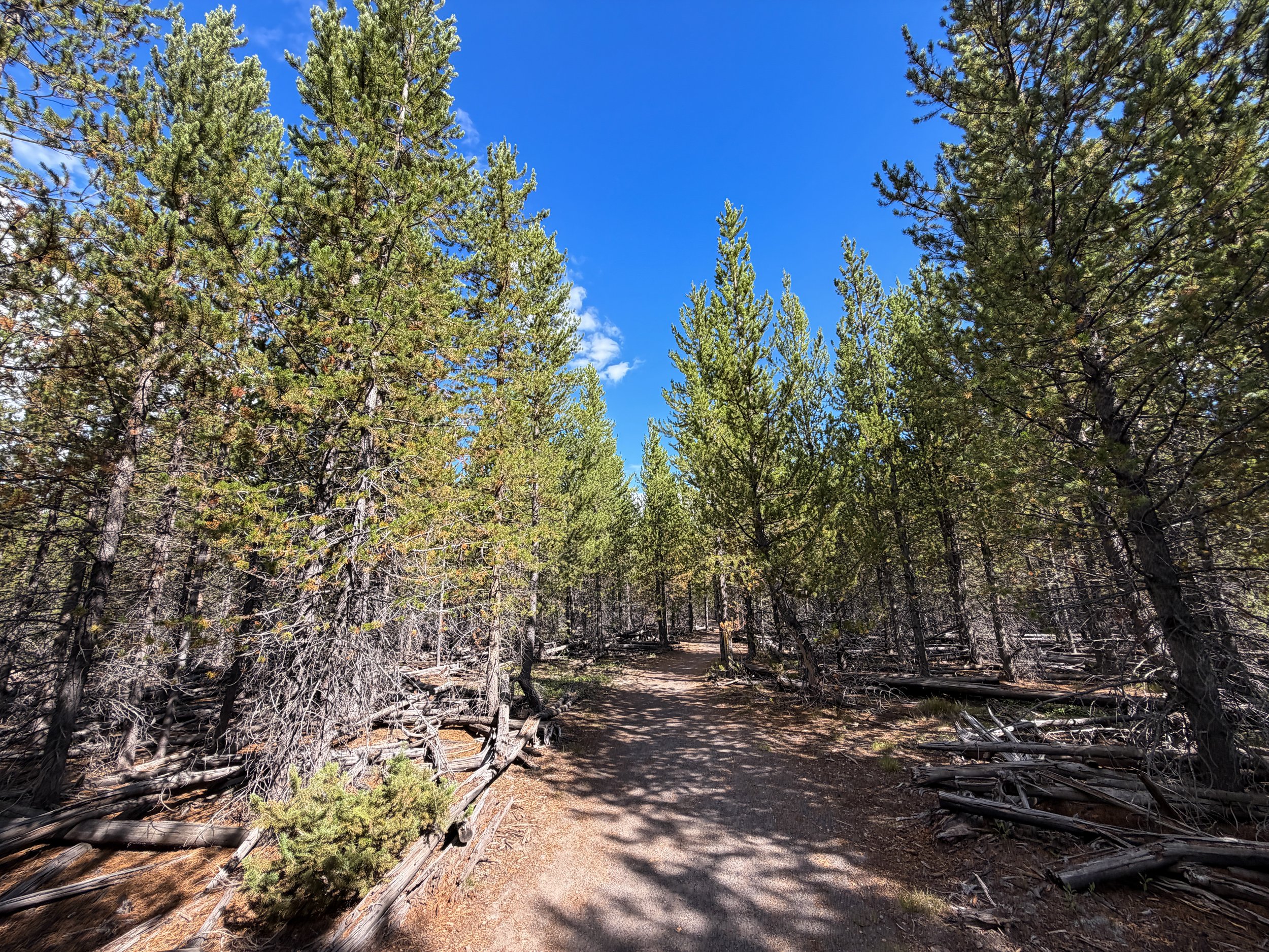 Fairy Falls Trail to Imperial Geyser Yellowstone National Park Wyoming