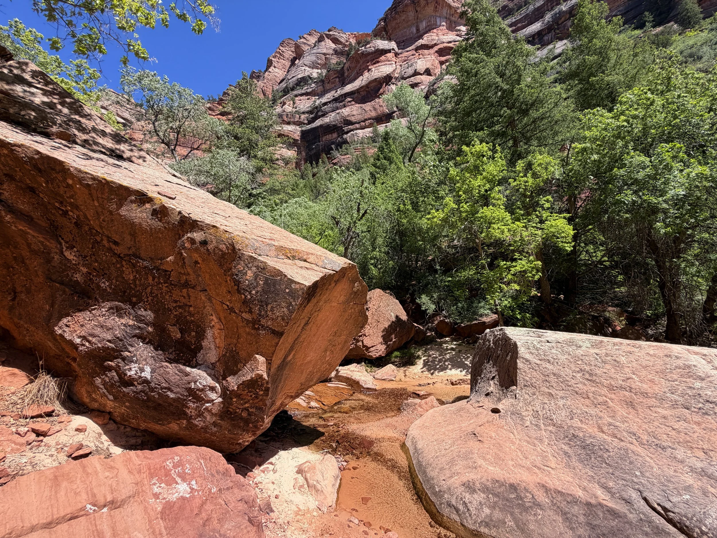 Left Fork North Creek Trail to the Subway Zion National Park Utah