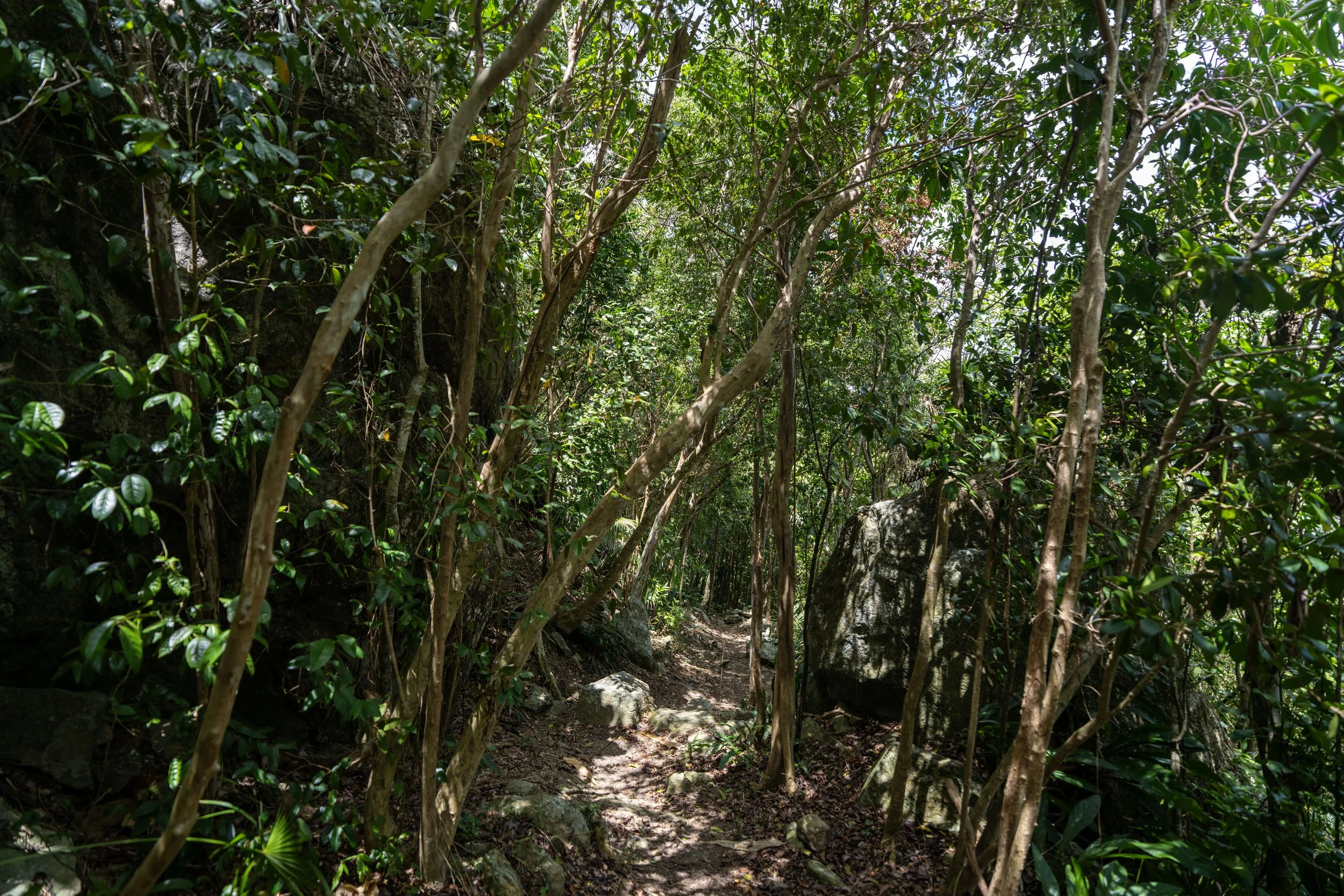 Maria Hope Trail Virgin Islands National Park