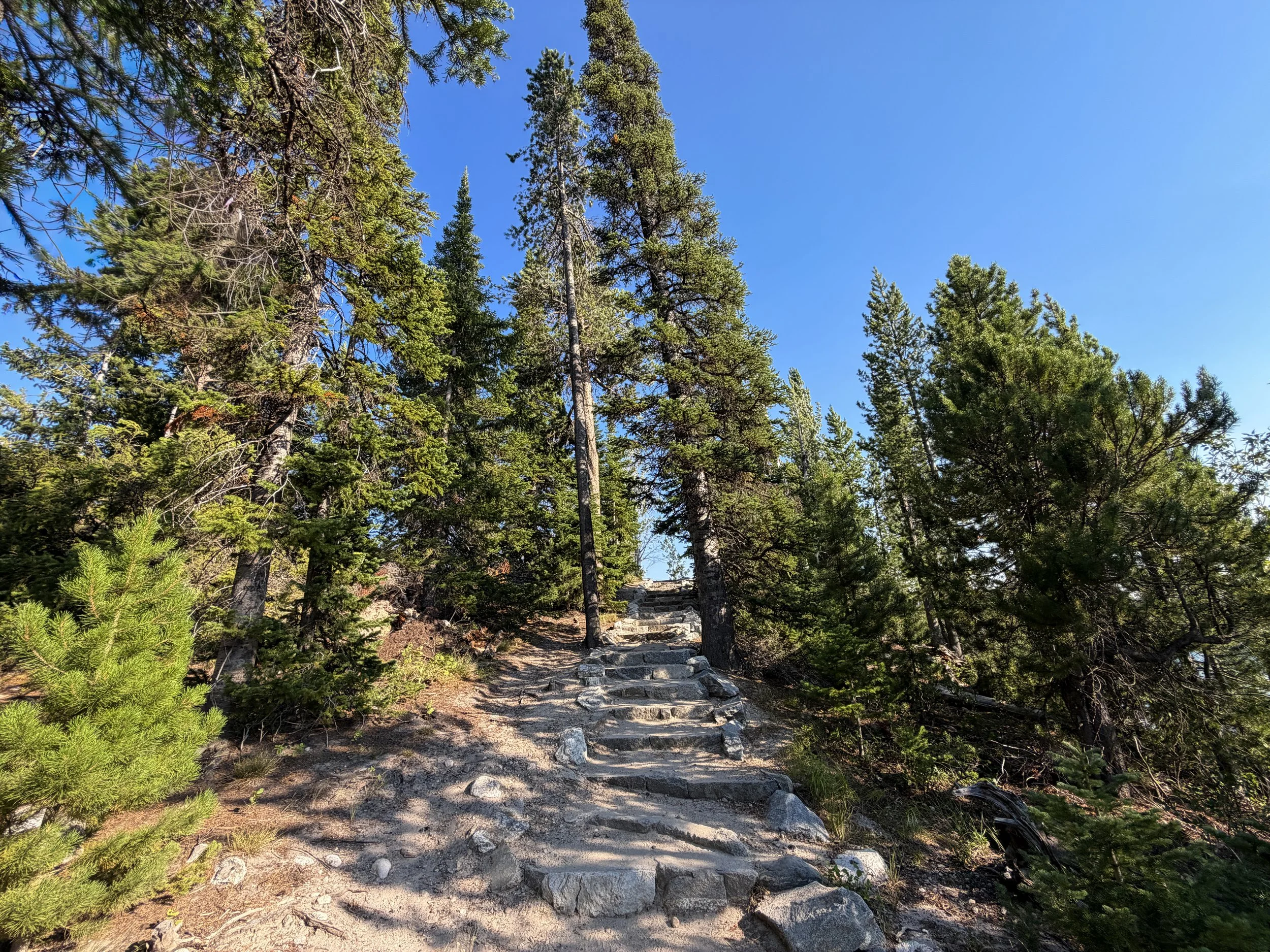 Jenny Lake Loop Trail Grand Teton National Park Wyoming