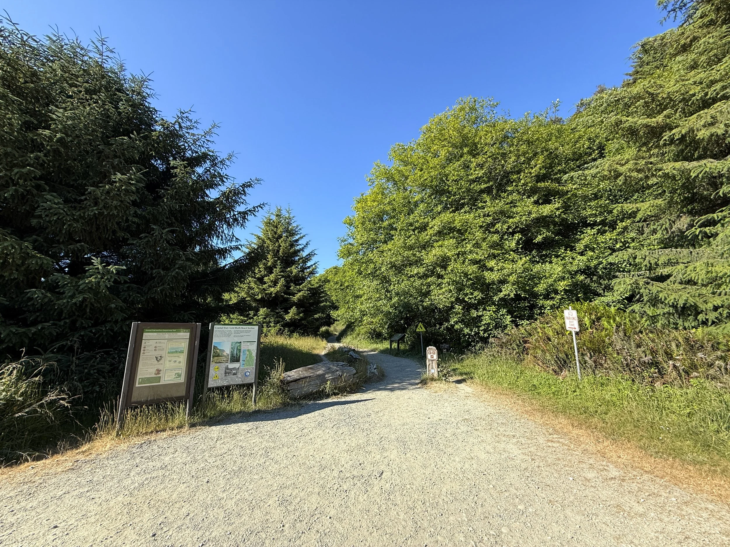 Fern Canyon Trailhead Prairie Creek Redwoods State Park California