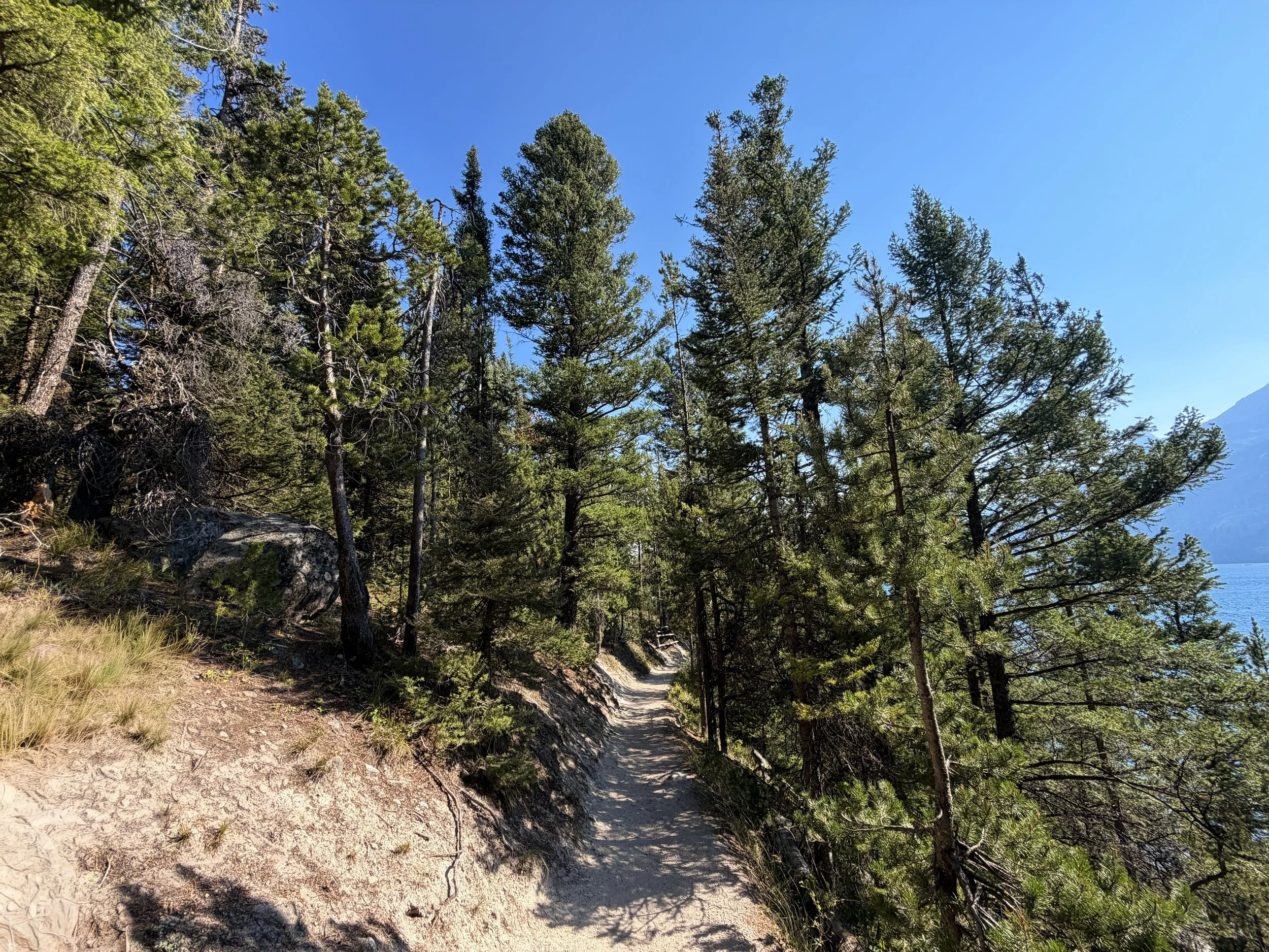 Jenny Lake Loop Trail Grand Teton National Park Wyoming