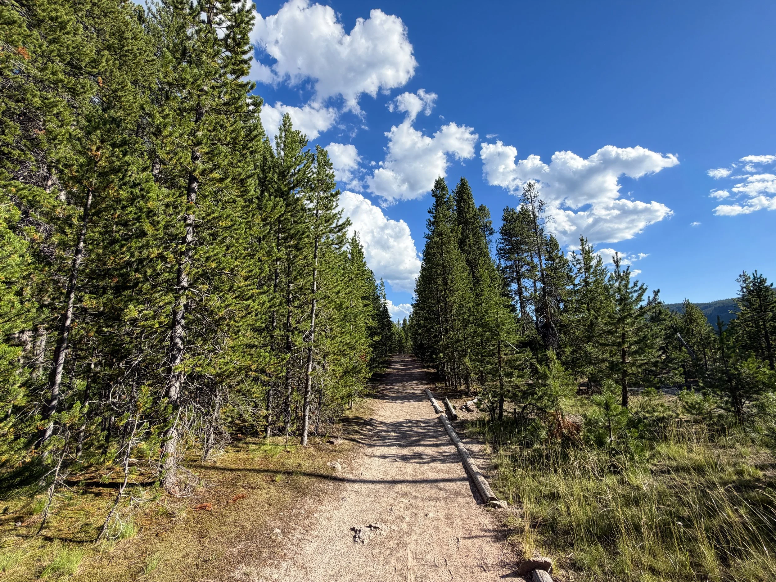 Artemisia Trail to Morning Glory Pool Yellowstone National Park Wyoming