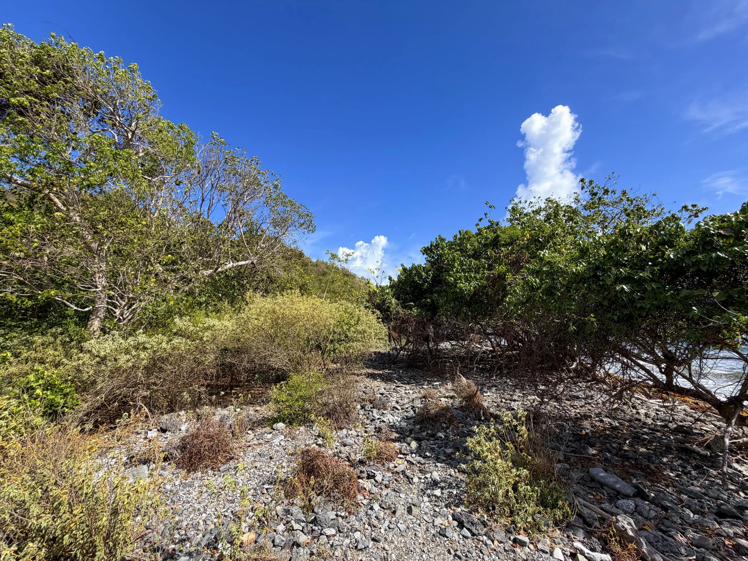 Brown Bay Beach Virgin Islands National Park