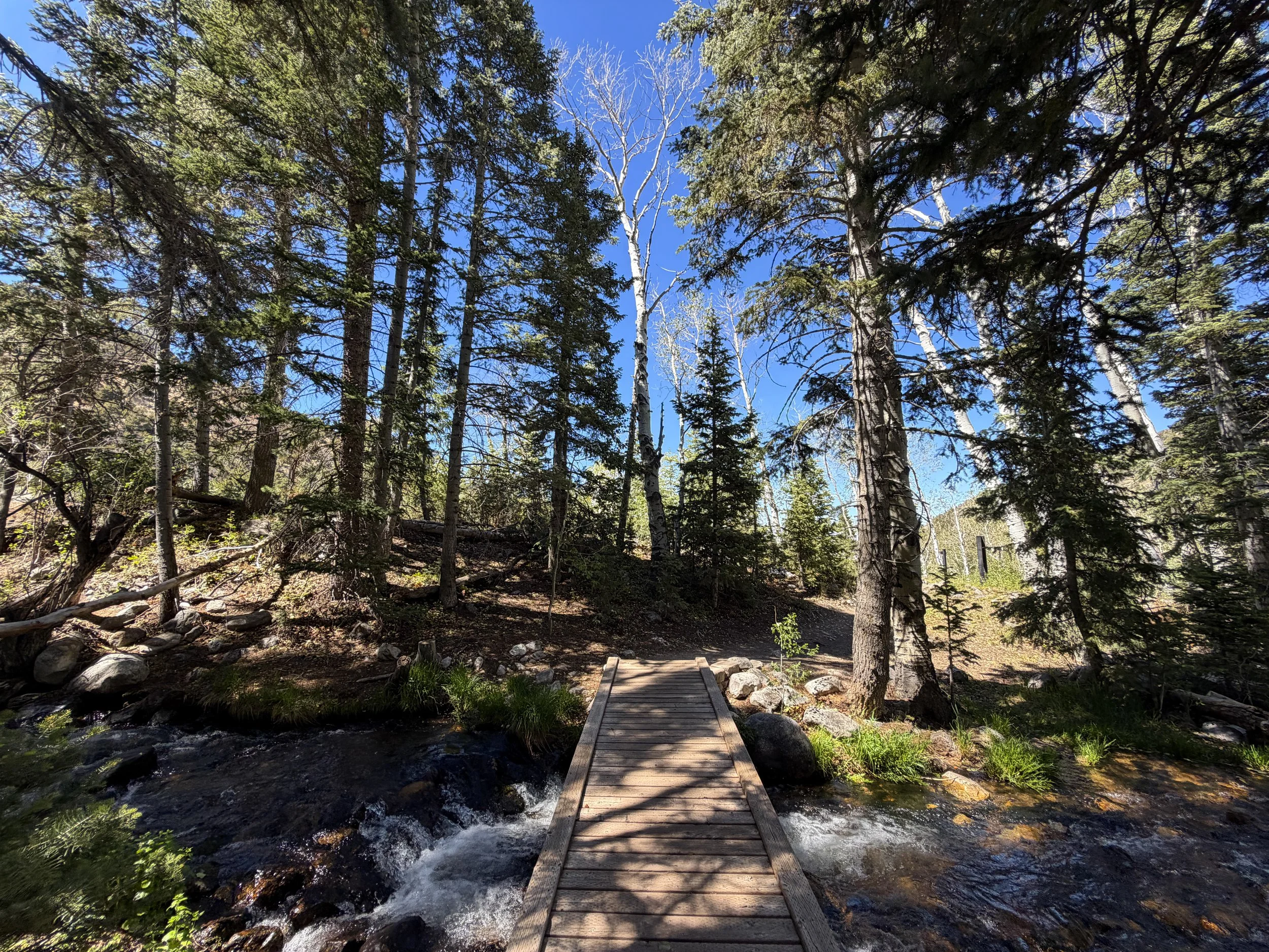 Baker Creek Loop Trail Great Basin National Park Nevada