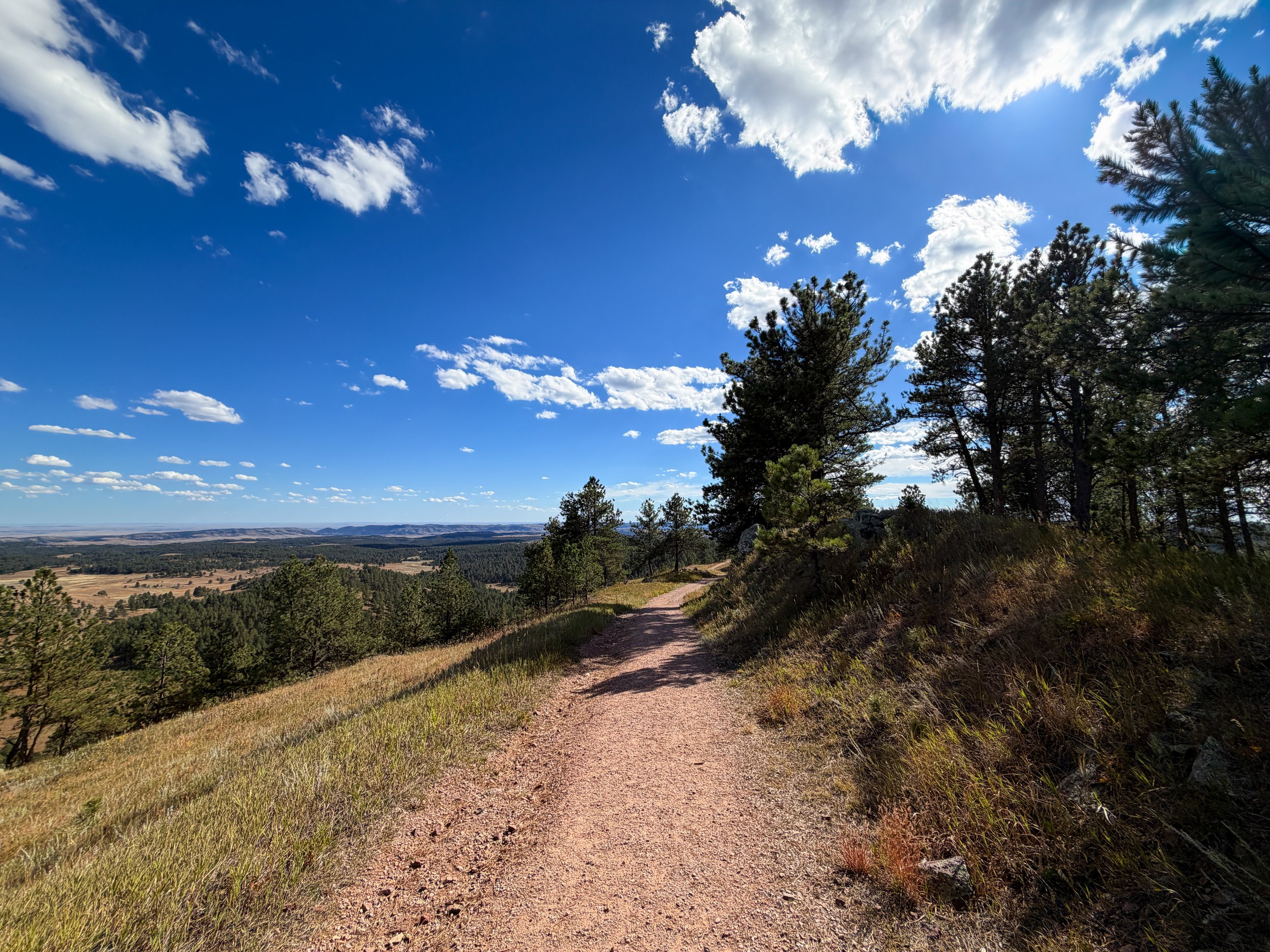 Rankin Ridge Trail Wind Cave National Park South Dakota