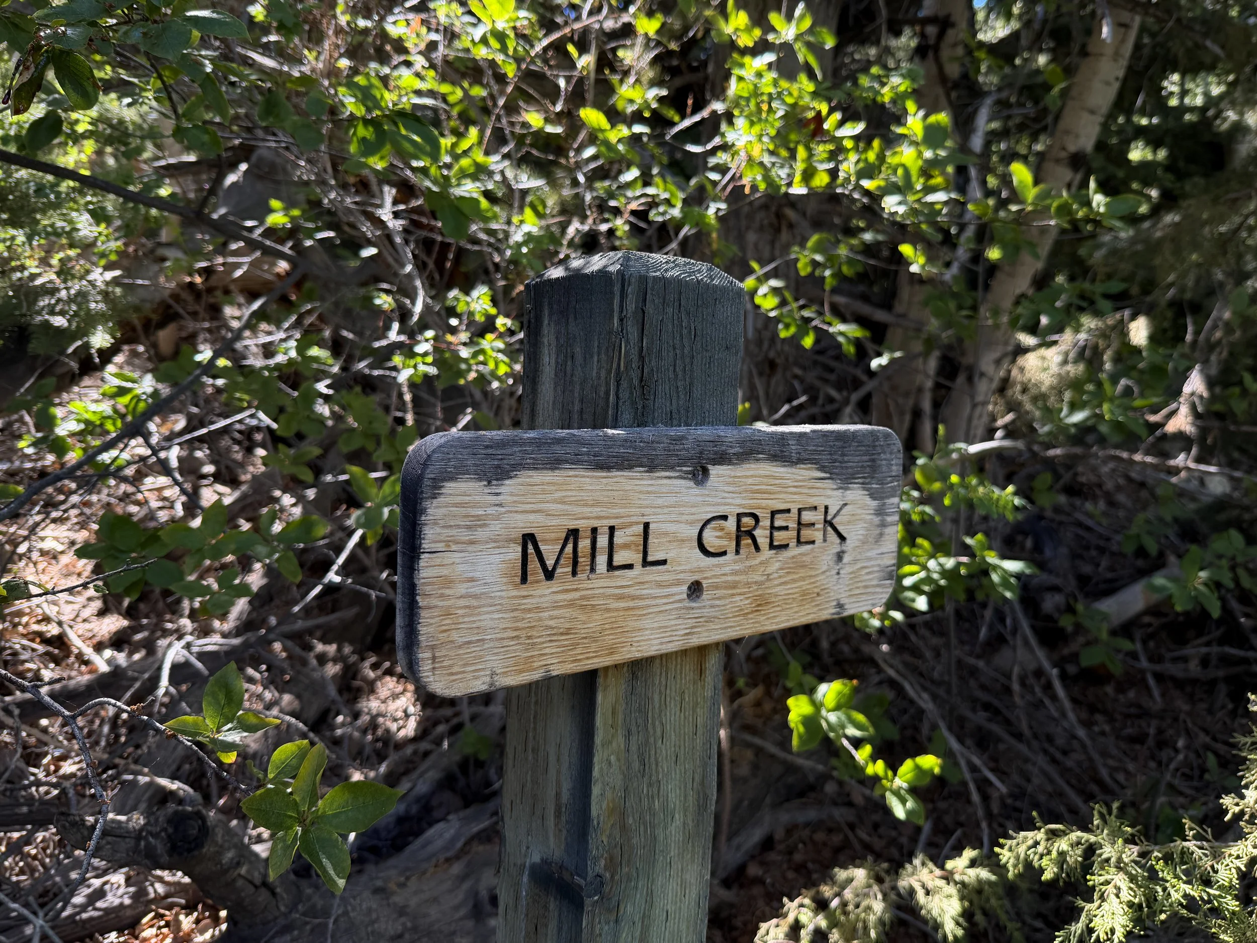 Mill Creek Osceola Ditch Trail Great Basin National Park Nevada