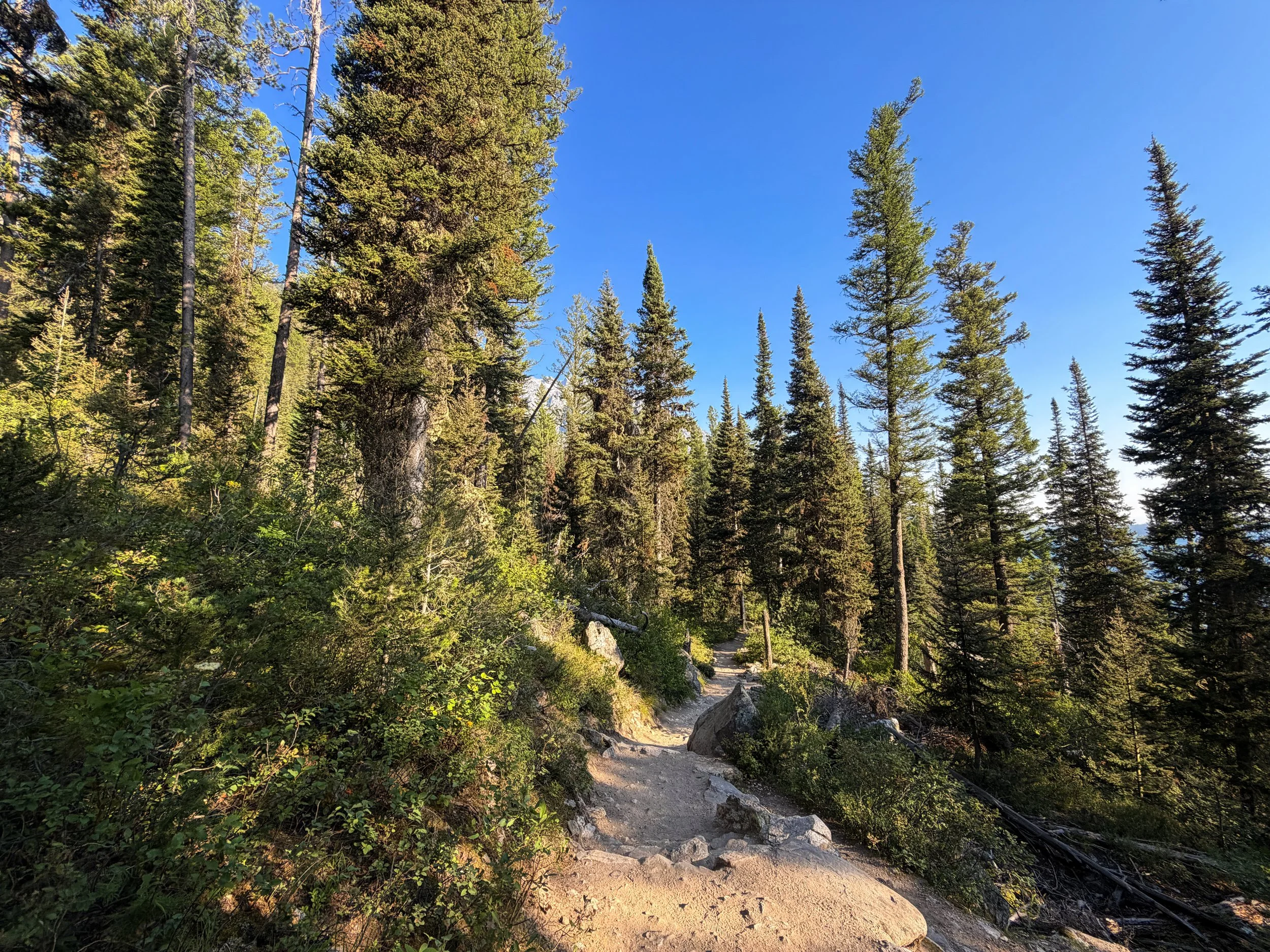 Hidden Falls via Jenny Lake Loop Trail Grand Teton National Park Wyoming