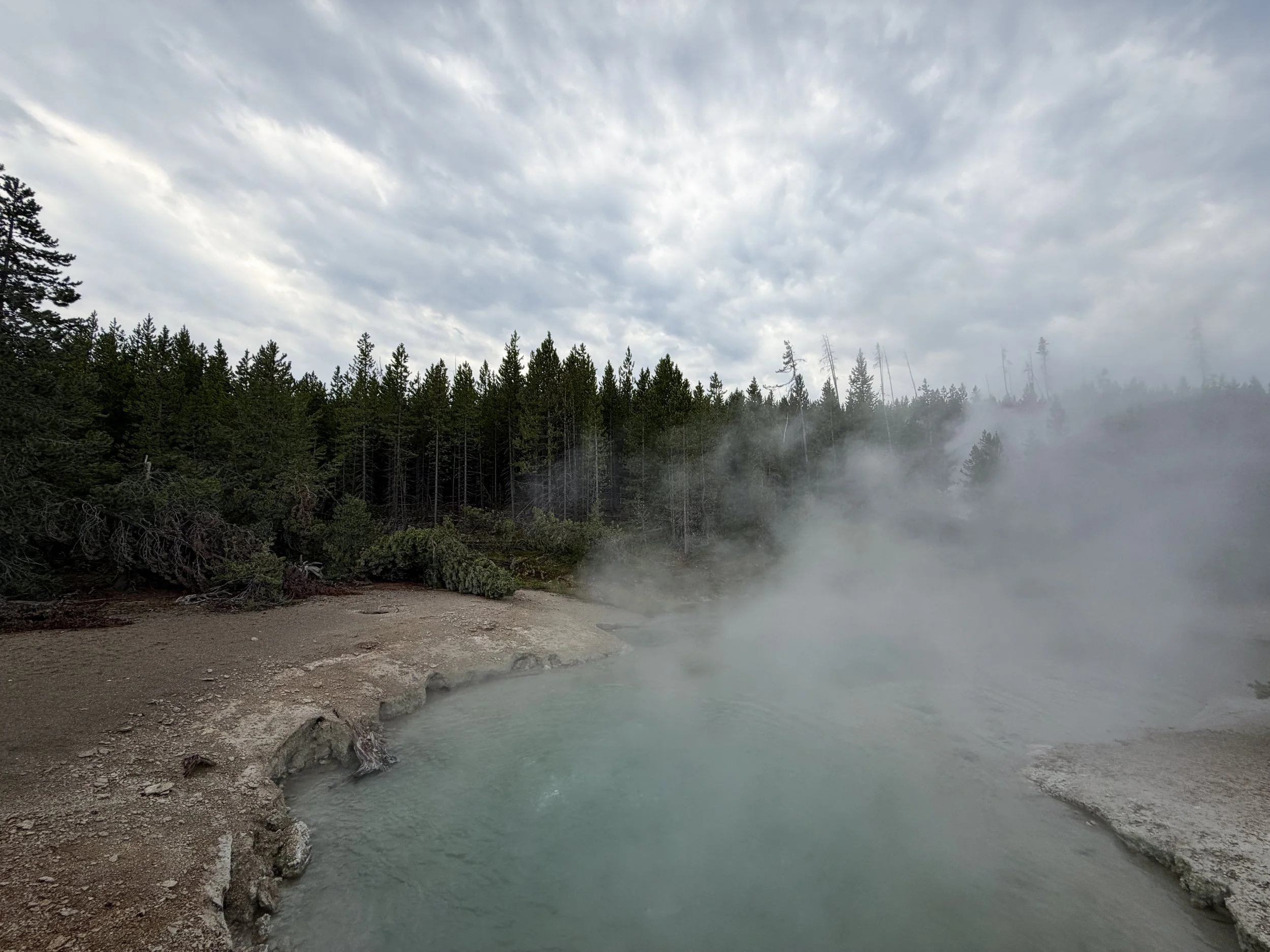 Root Pool Norris Geyser Basin Trail Yellowstone National Park Wyoming