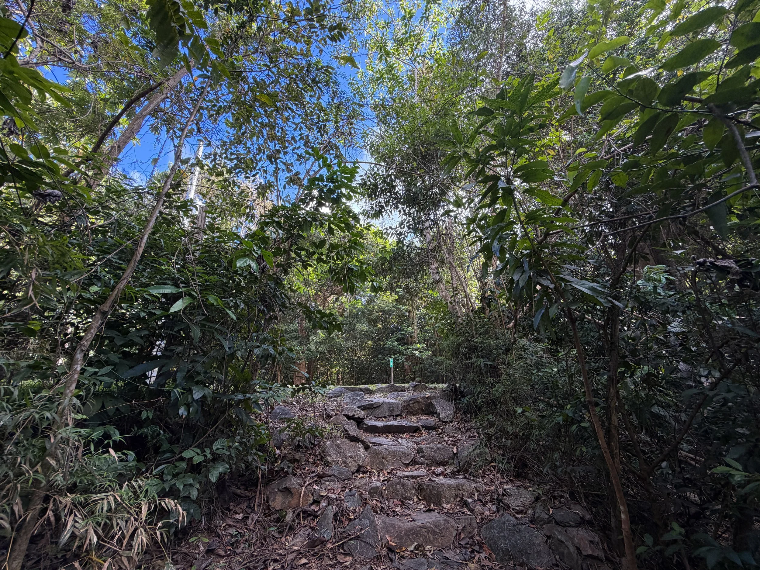 Upper Cinnamon Bay Trailhead Virgin Islands National Park