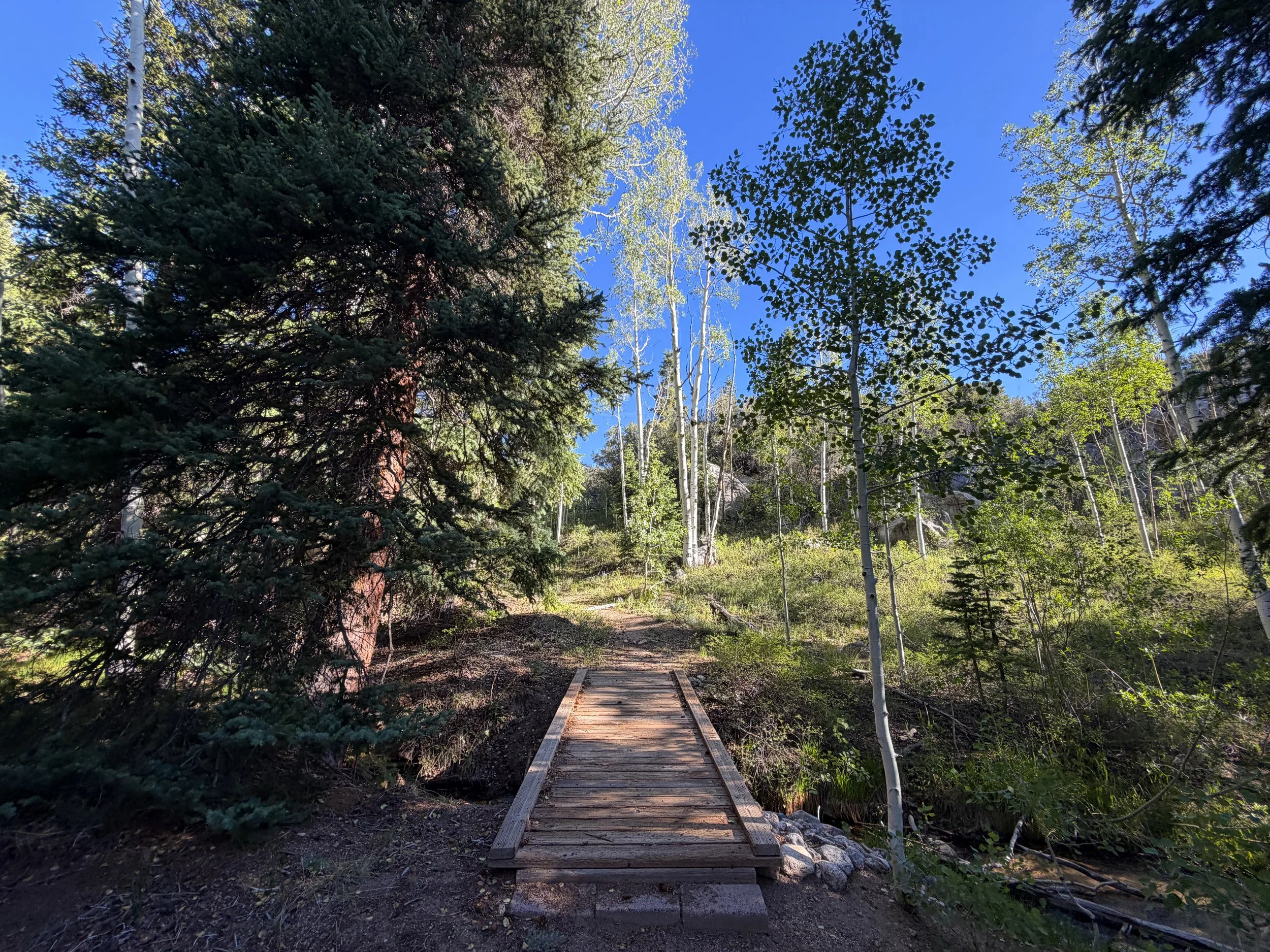 Johnson Lake Trail Great Basin National Park Nevada