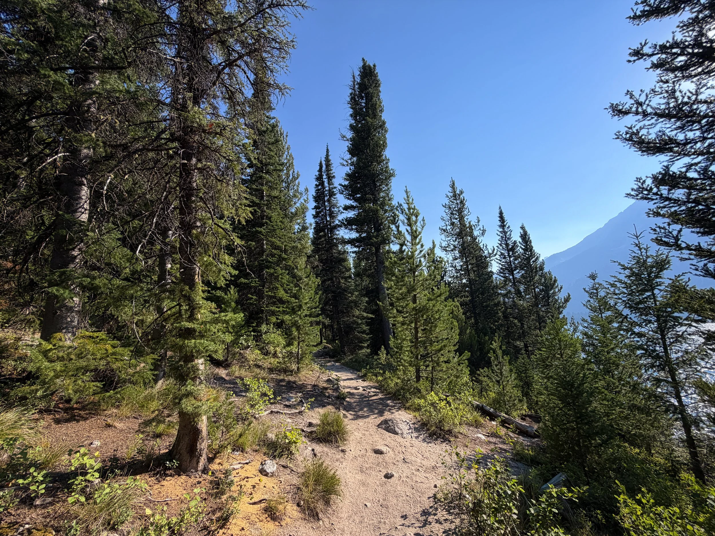 Jenny Lake Loop Trail Grand Teton National Park Wyoming