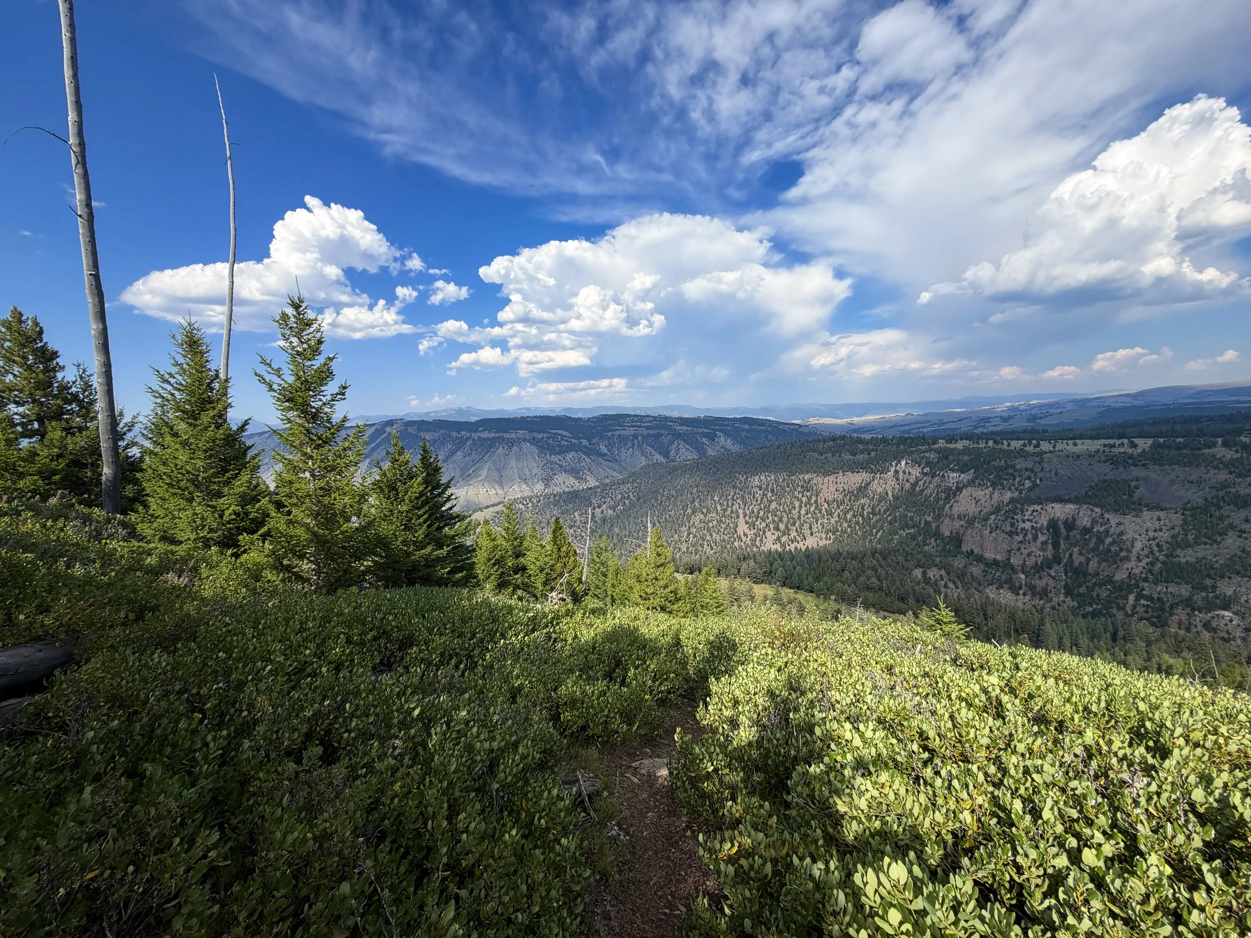 Bunsen Peak Trail Yellowstone National Park Wyoming