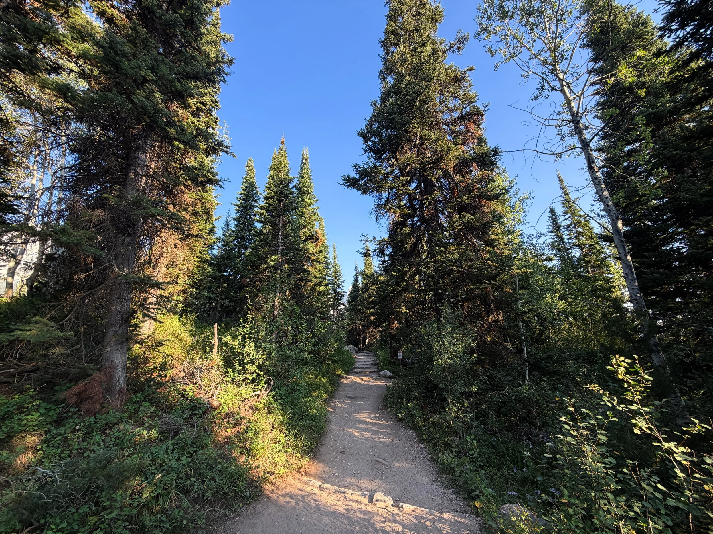Hidden Falls Trail via Jenny Lake Grand Teton National Park Wyoming
