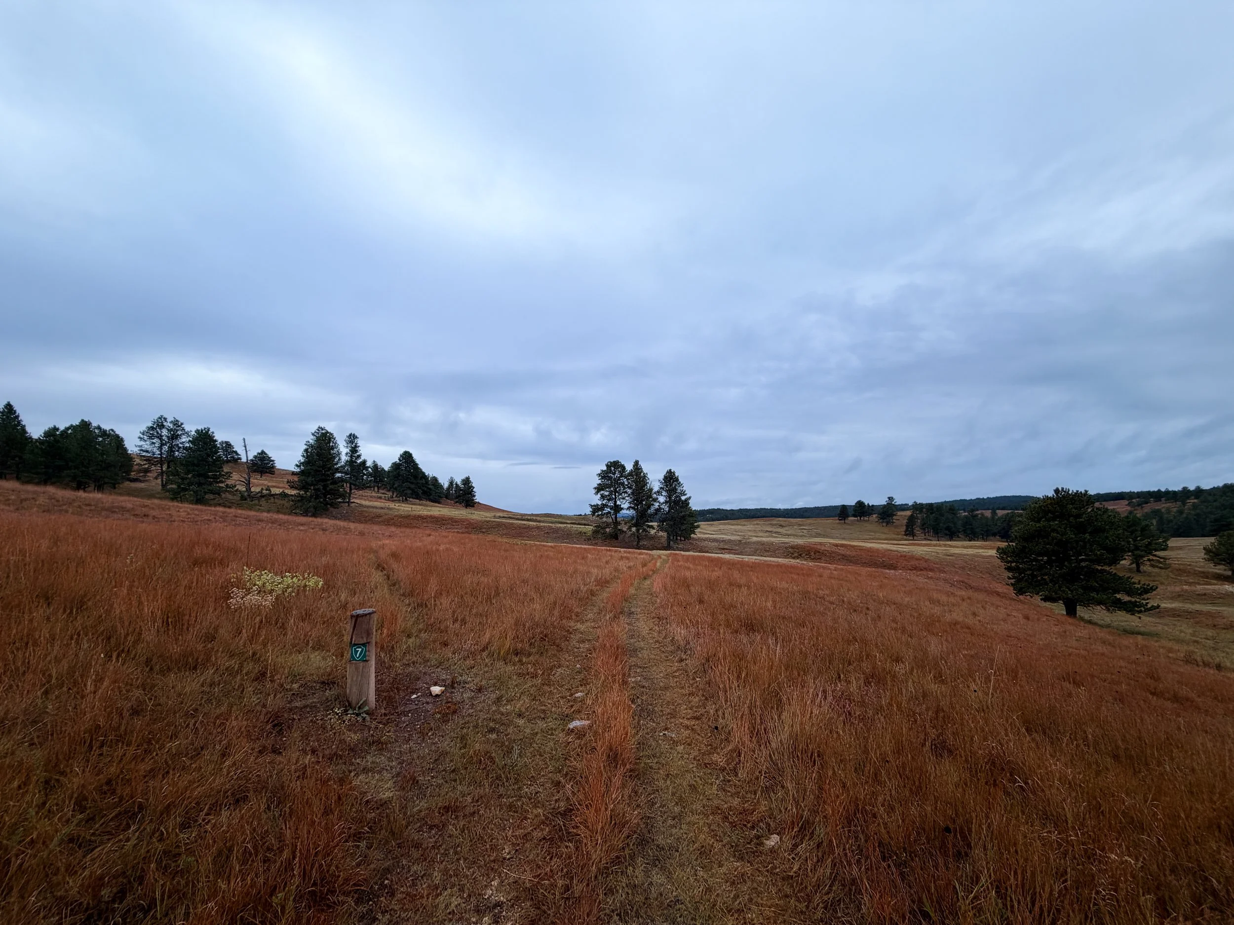Highland Creek Trail Wind Cave National Park South Dakota
