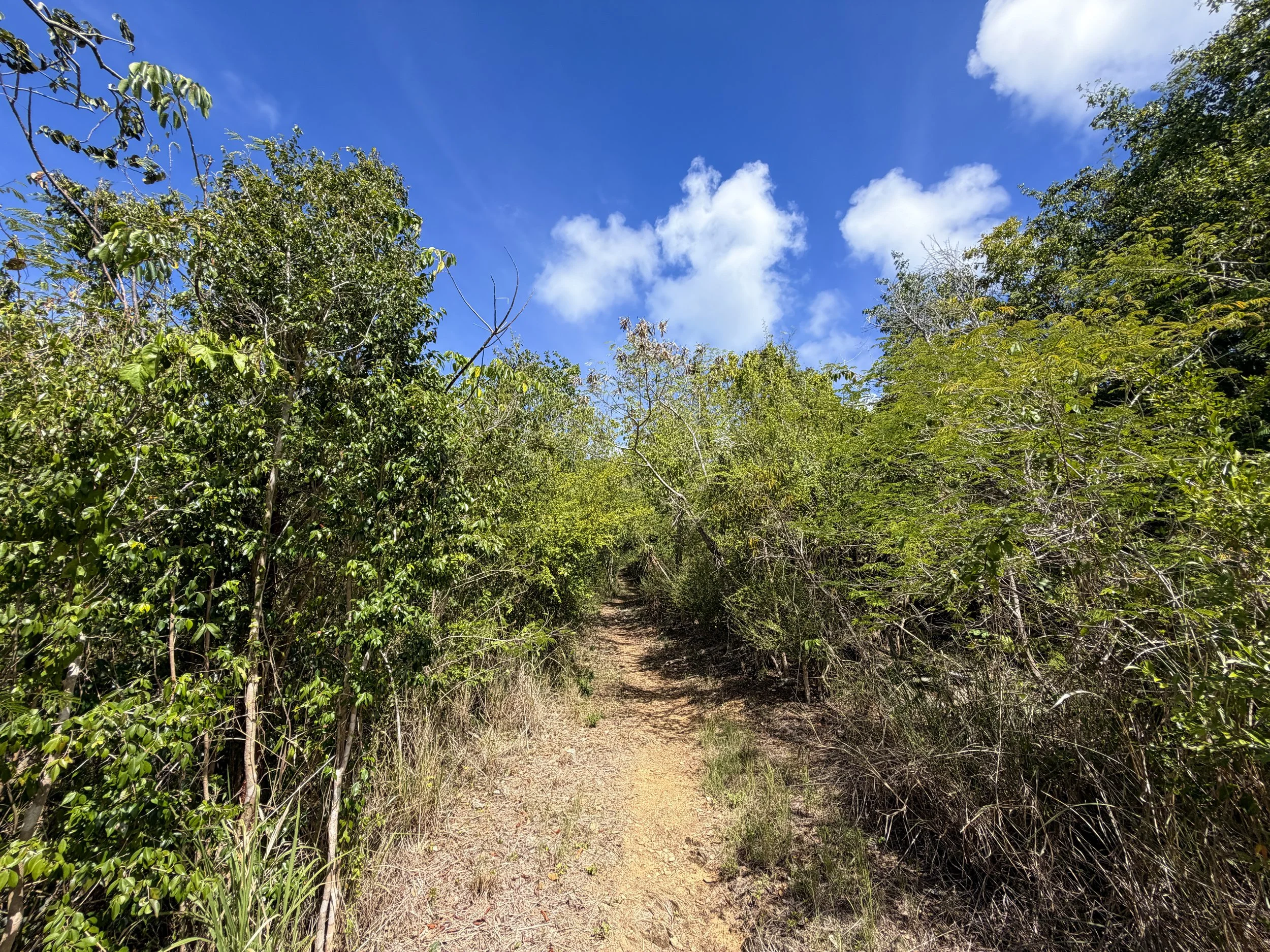 Lameshur Bay Hike Virgin Islands National Park