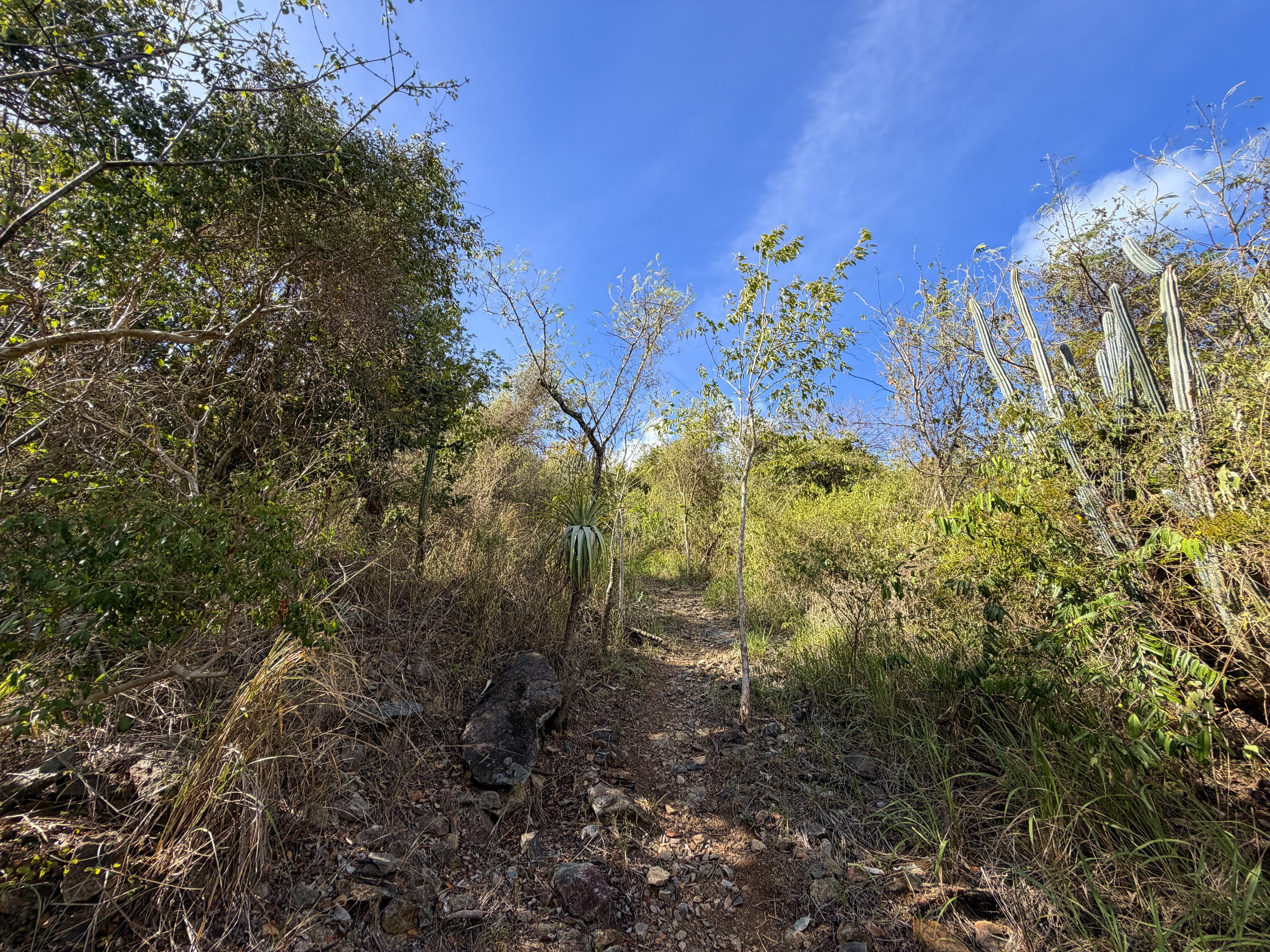 Tektite Trail Virgin Islands National Park