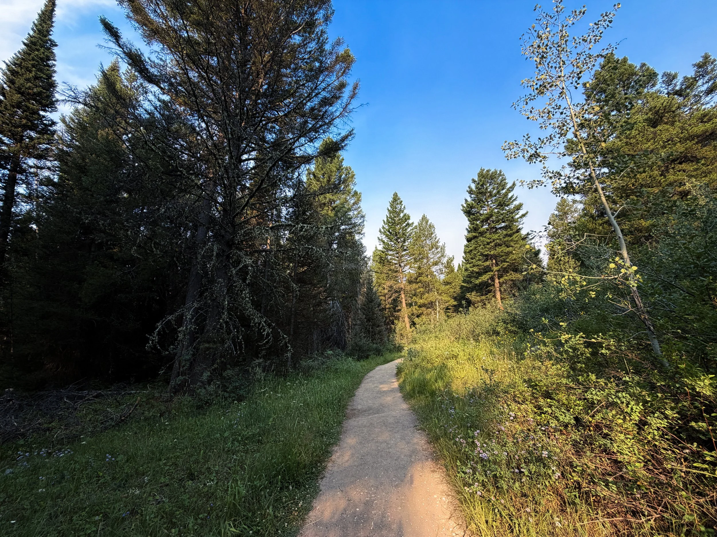 Boulder Ridge Loop Trail Grand Teton National Park Wyoming