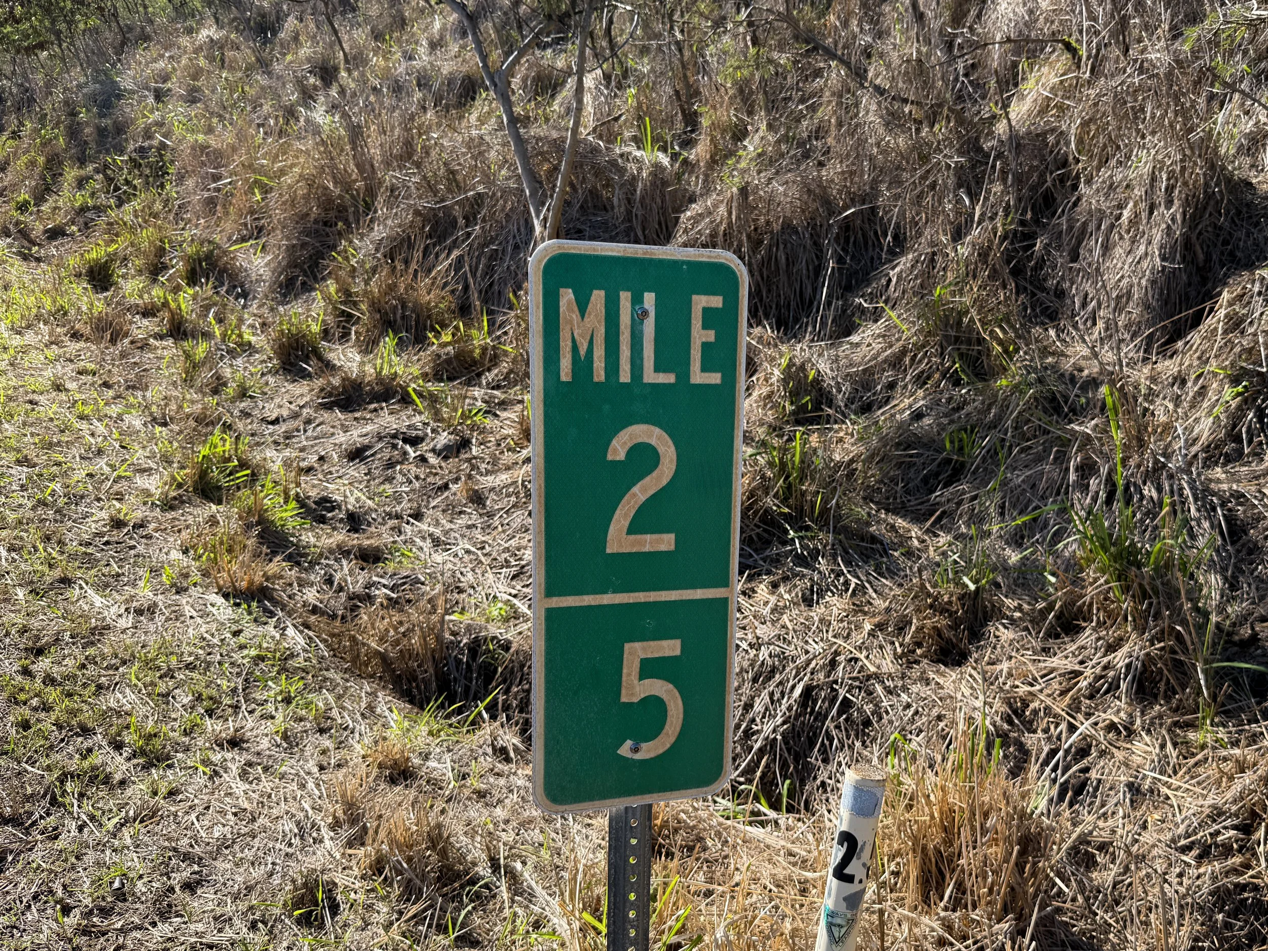 Mokuleia Forest Reserve Access Road Oahu Hawaii