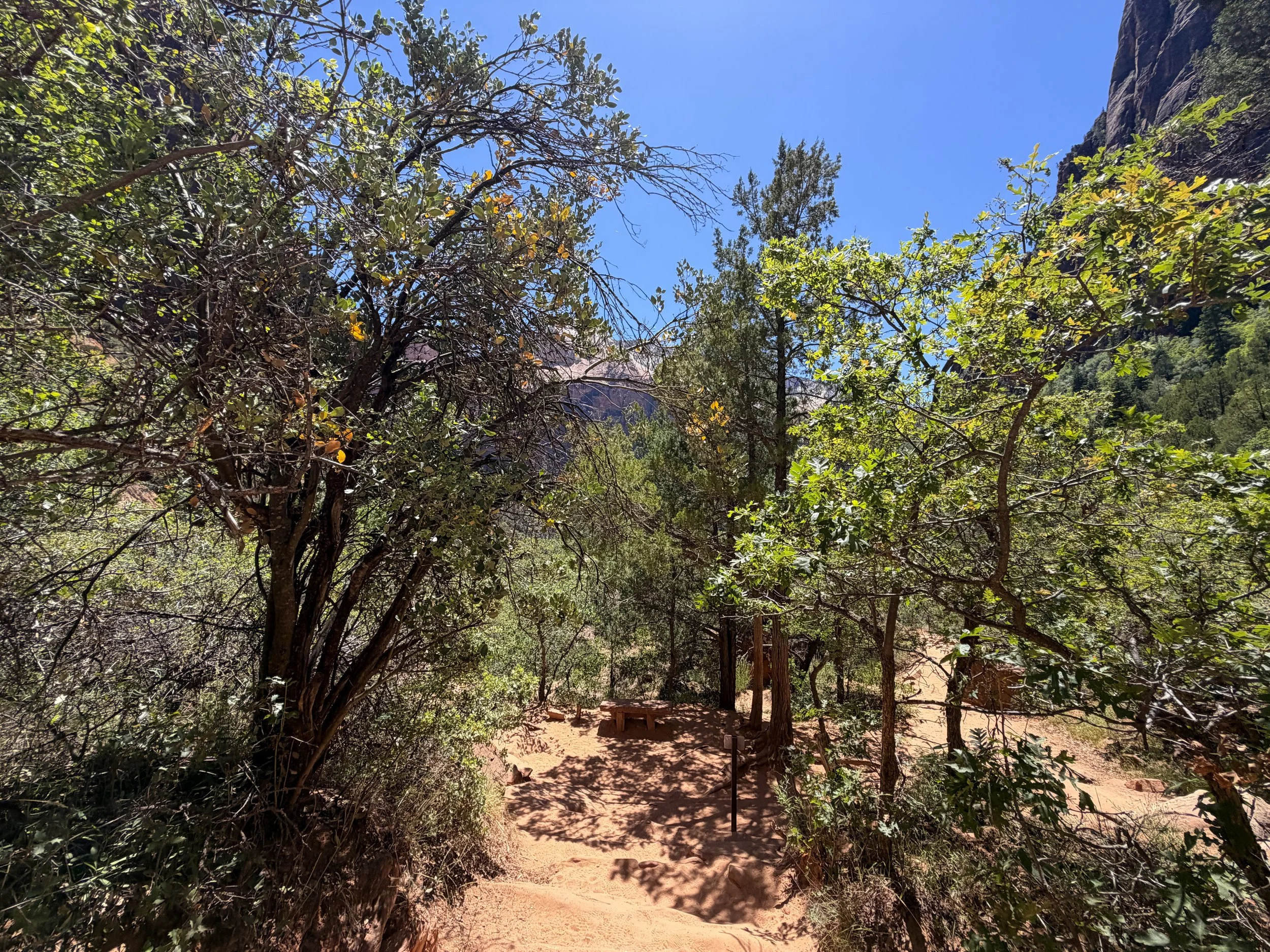 Middle Emerald Pool Trail Zion National Park Utah