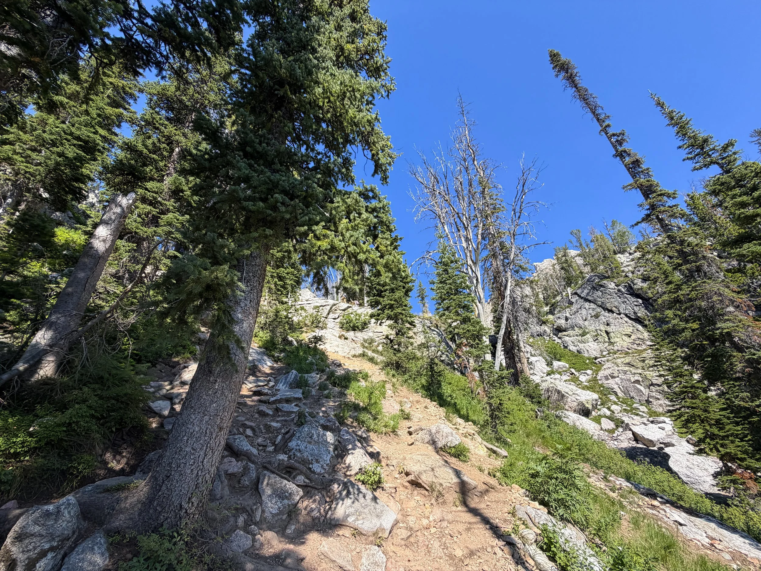 Delta Lake Trail Scramble Grand Teton National Park Wyoming