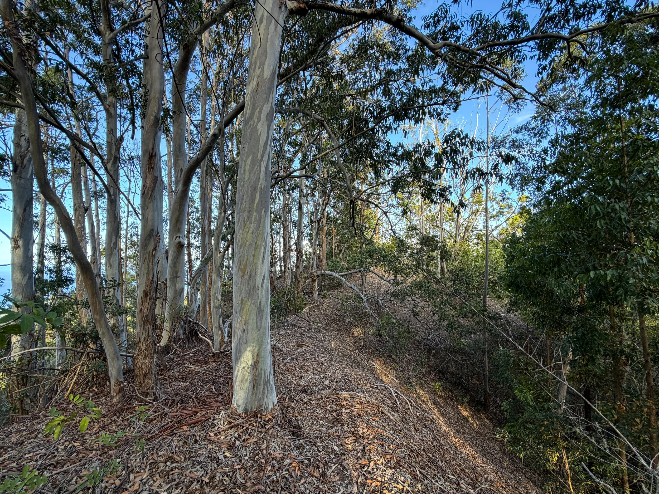 Mokuleia Trail Oahu Hawaii