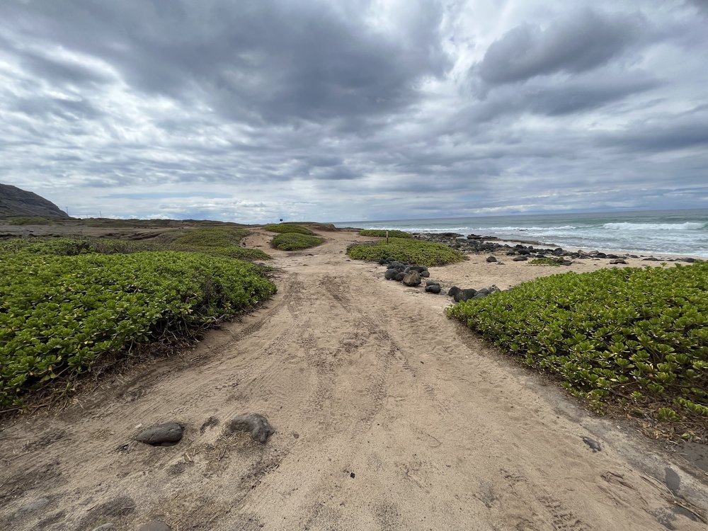 Hiking the Kaʻena Point Trail & Pillbox on the North Shore of Oʻahu ...