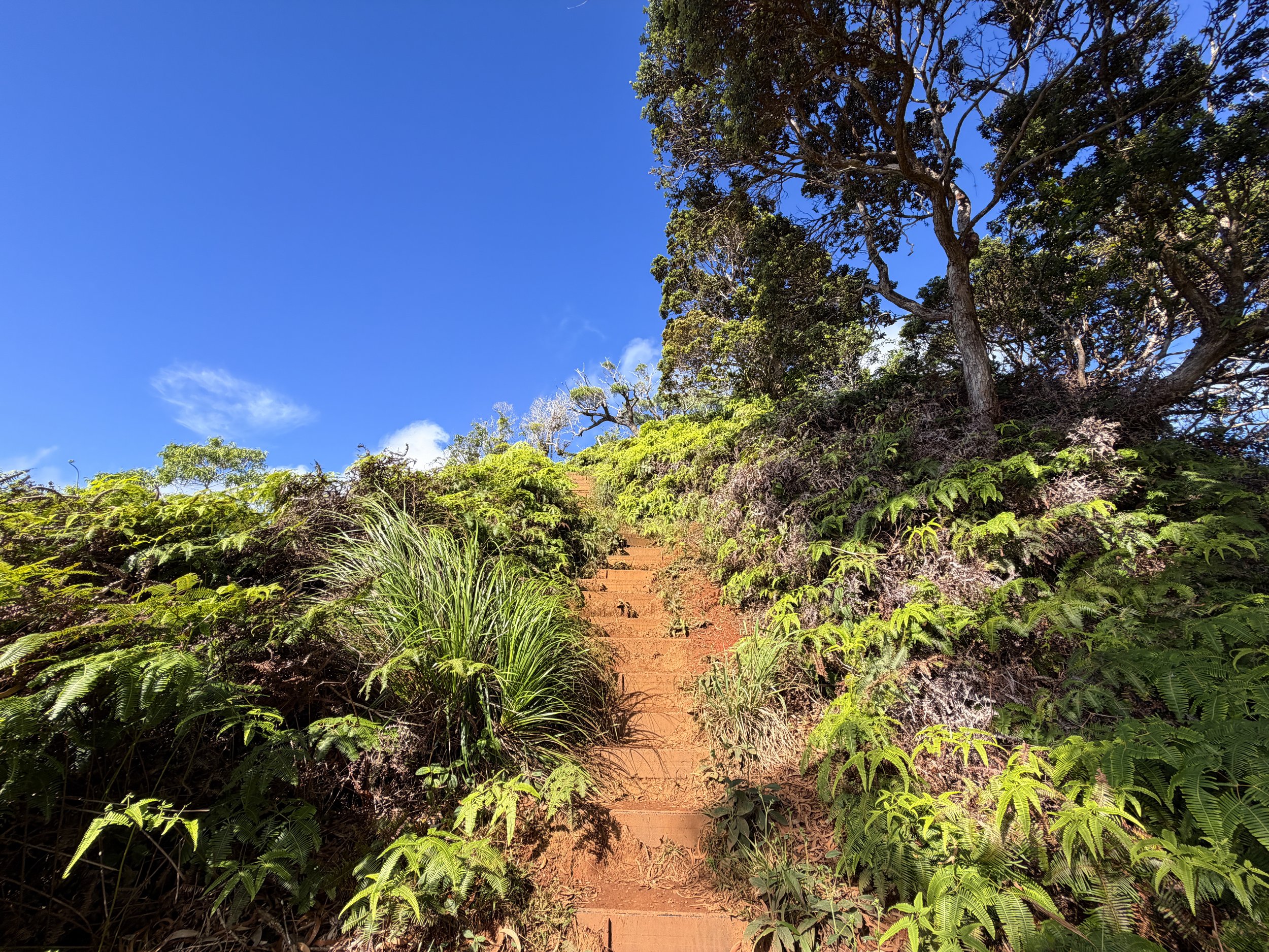 Wiliwilinui Ridge Trail Stairs Oahu Hawaii