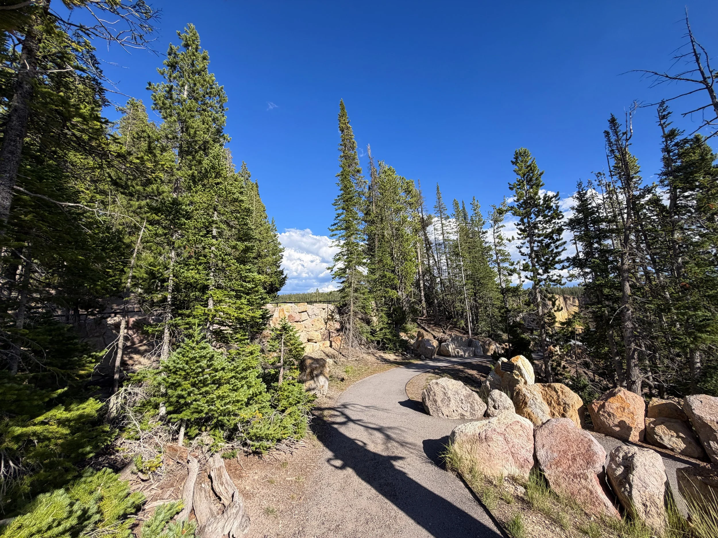 Inspiration Point North Rim Trail Yellowstone National Park Wyoming