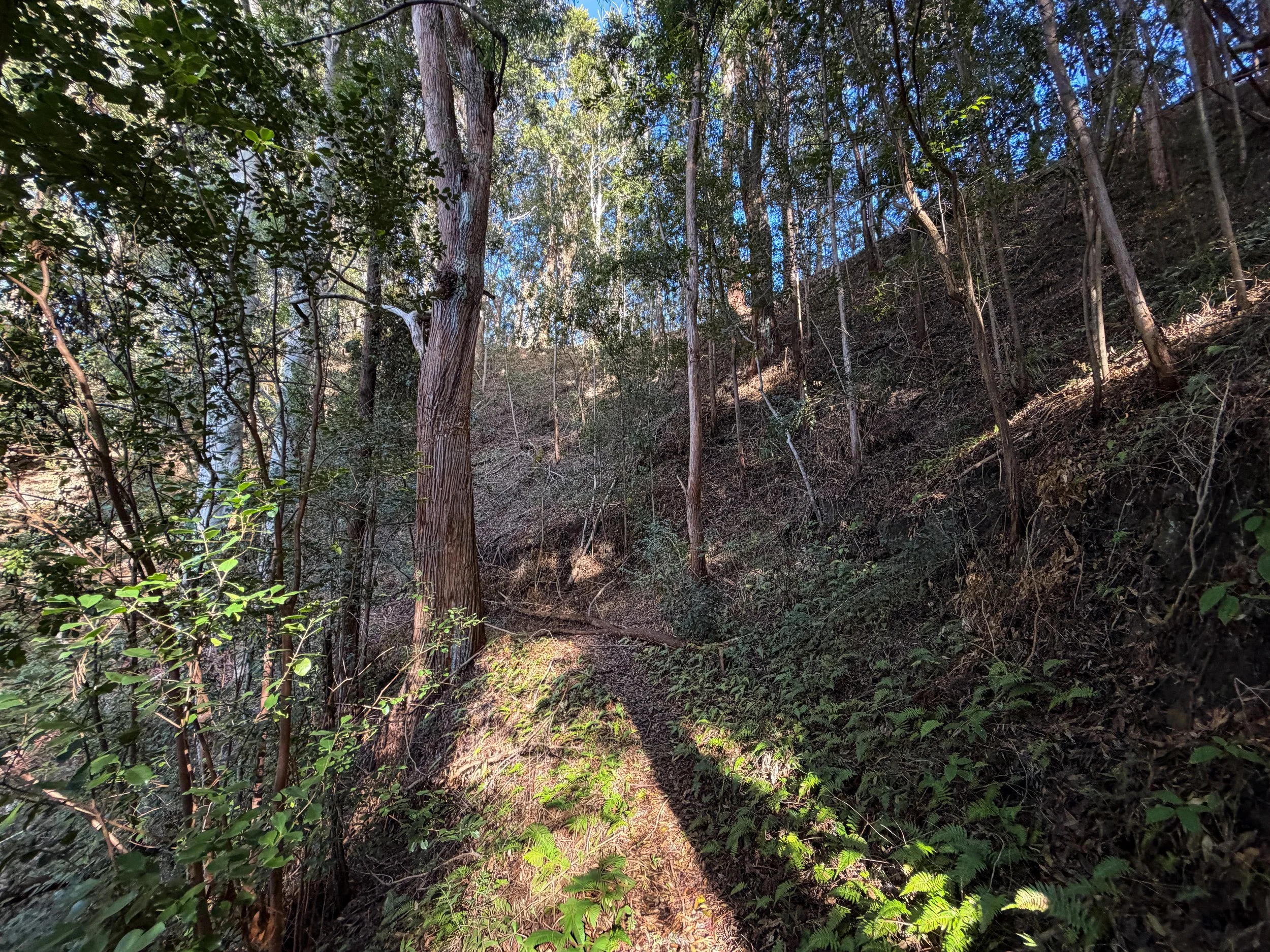 Mokuleia Trail Peacock Flats Oahu Hawaii