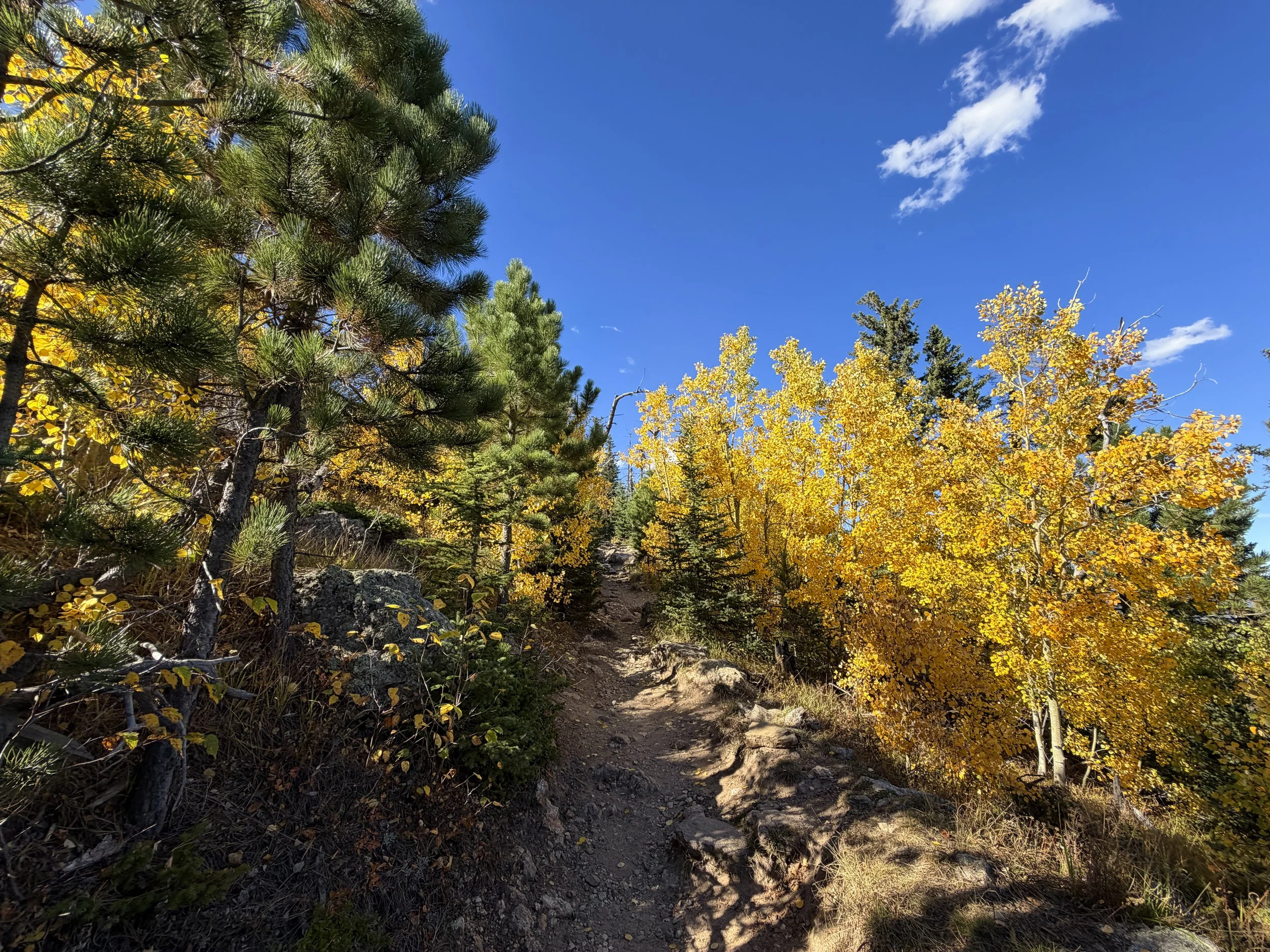 Black Elk Peak Trail to Harney Peak Lookout Black Hills South Dakota
