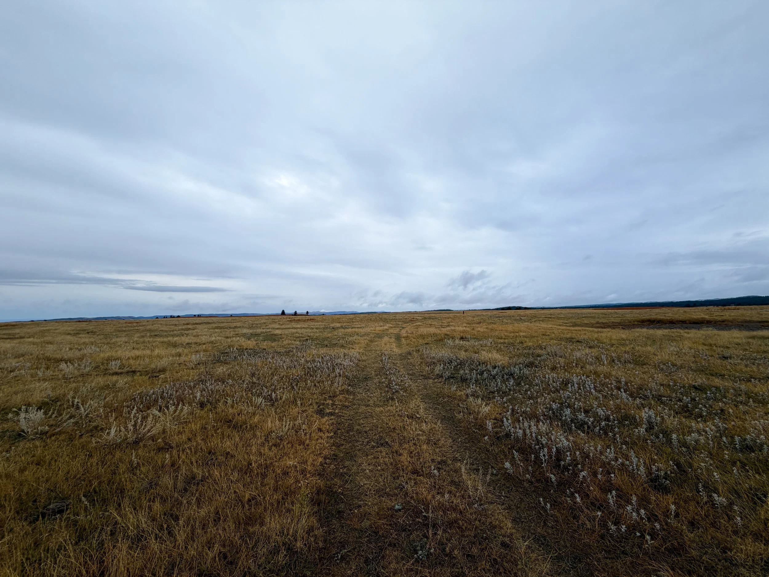 Highland Creek Trail Wind Cave National Park South Dakota