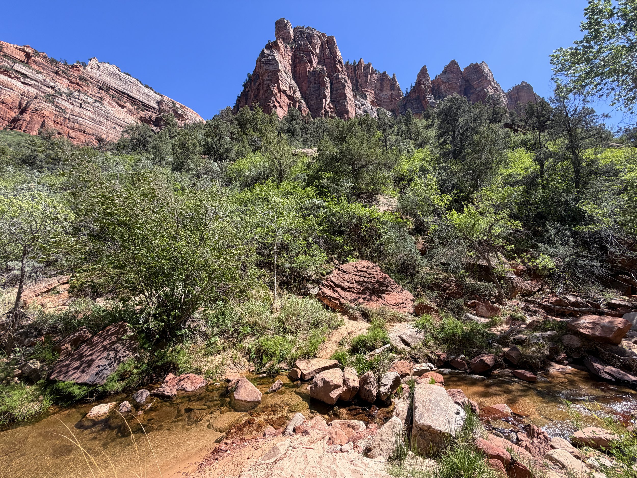 Subway Trail Left Fork North Creek Zion National Park Utah