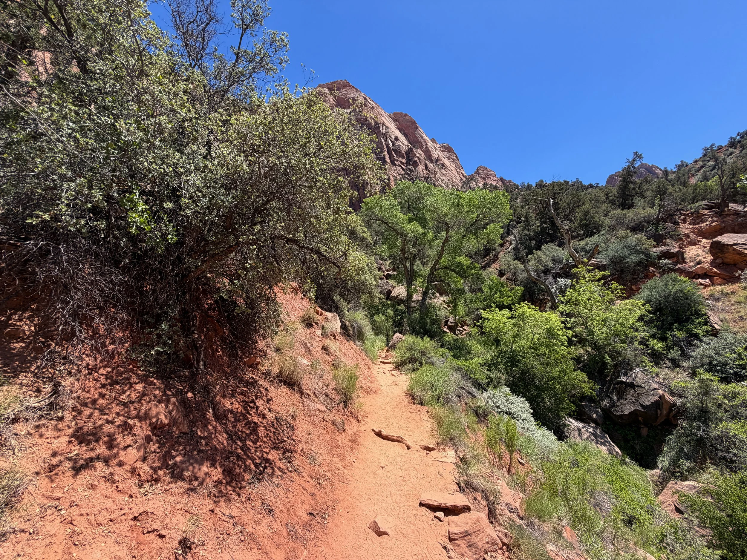 Watchman Trail Zion National Park Utah
