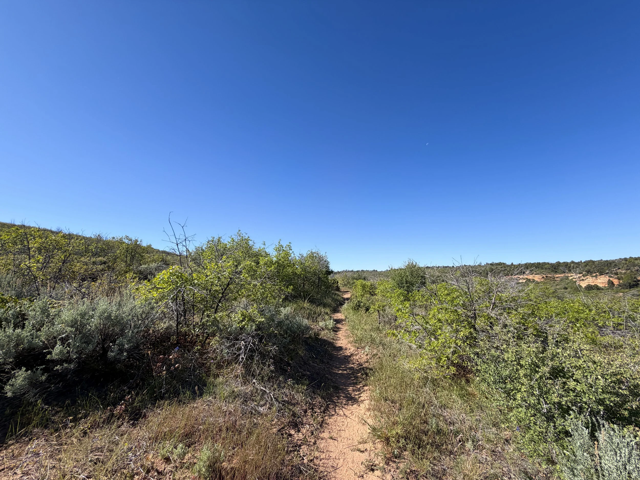 Deertrap Mountain Trail Zion National Park Utah