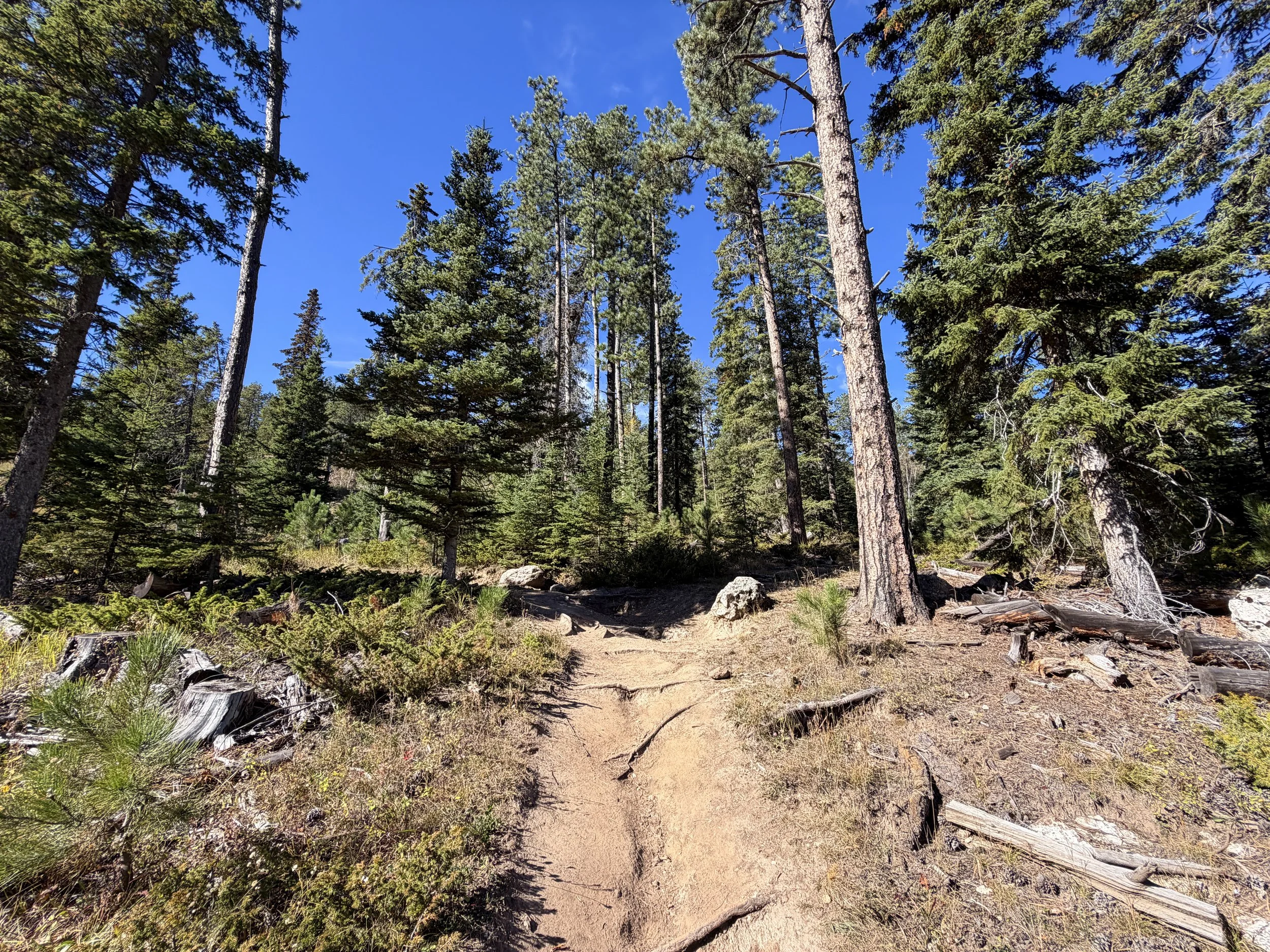 Sunday Gulch Trail Custer State Park Black Hills South Dakota