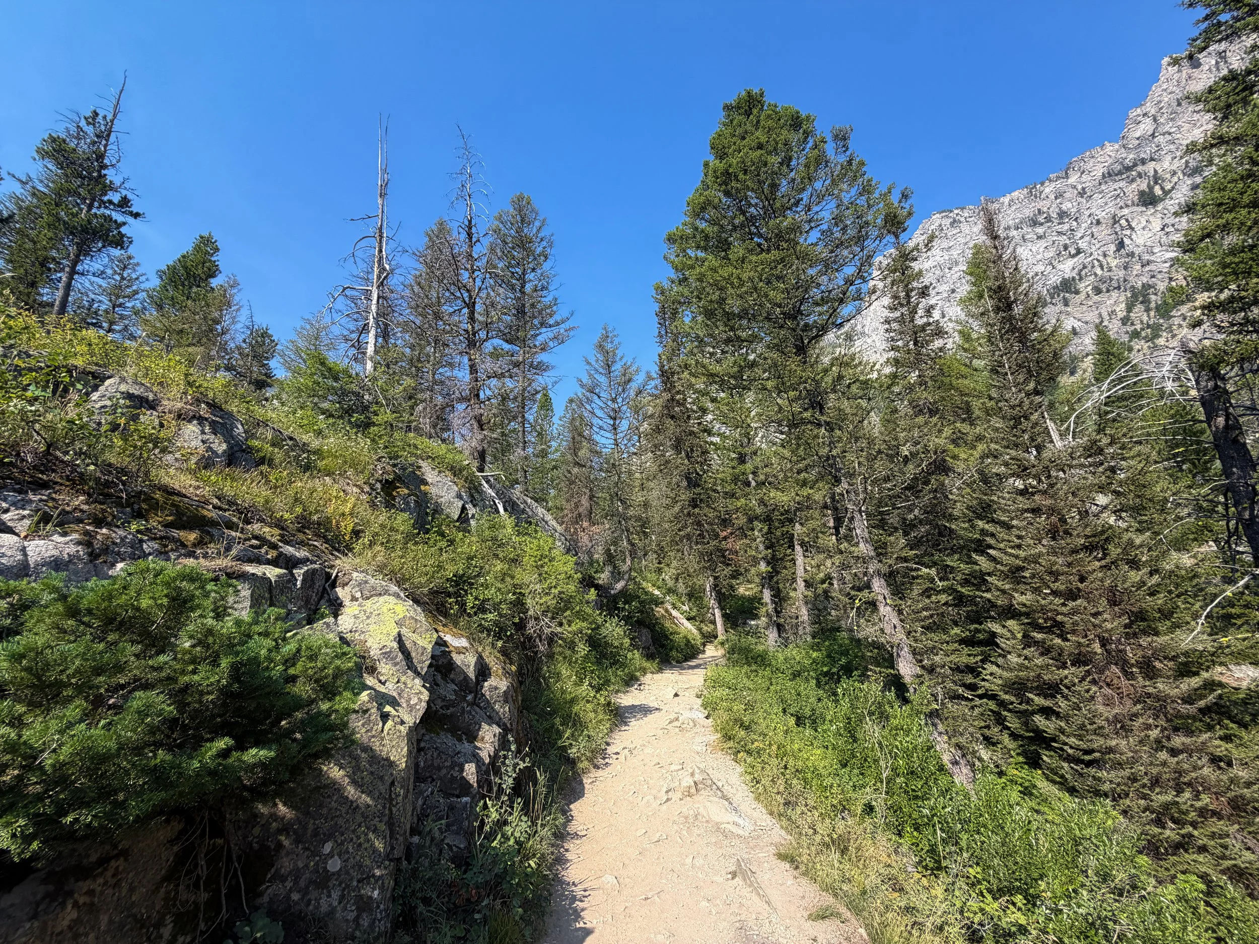 Inspiration Point Trail Grand Teton National Park Wyoming