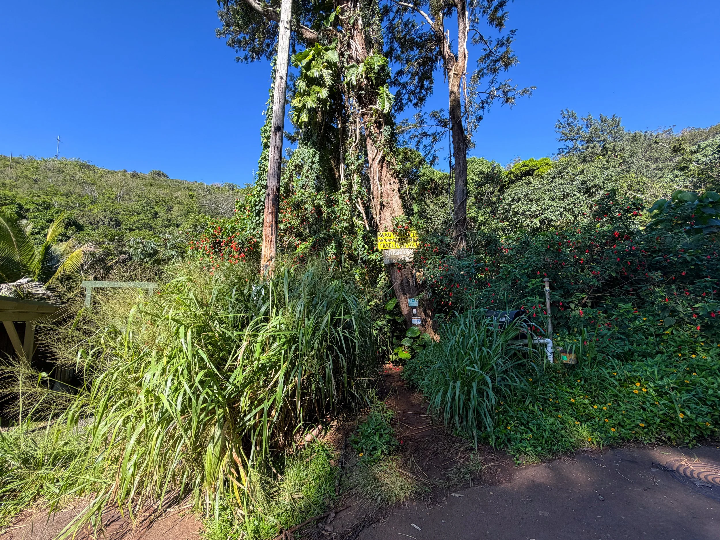 Kaau Crater Trailhead Oahu Hawaii