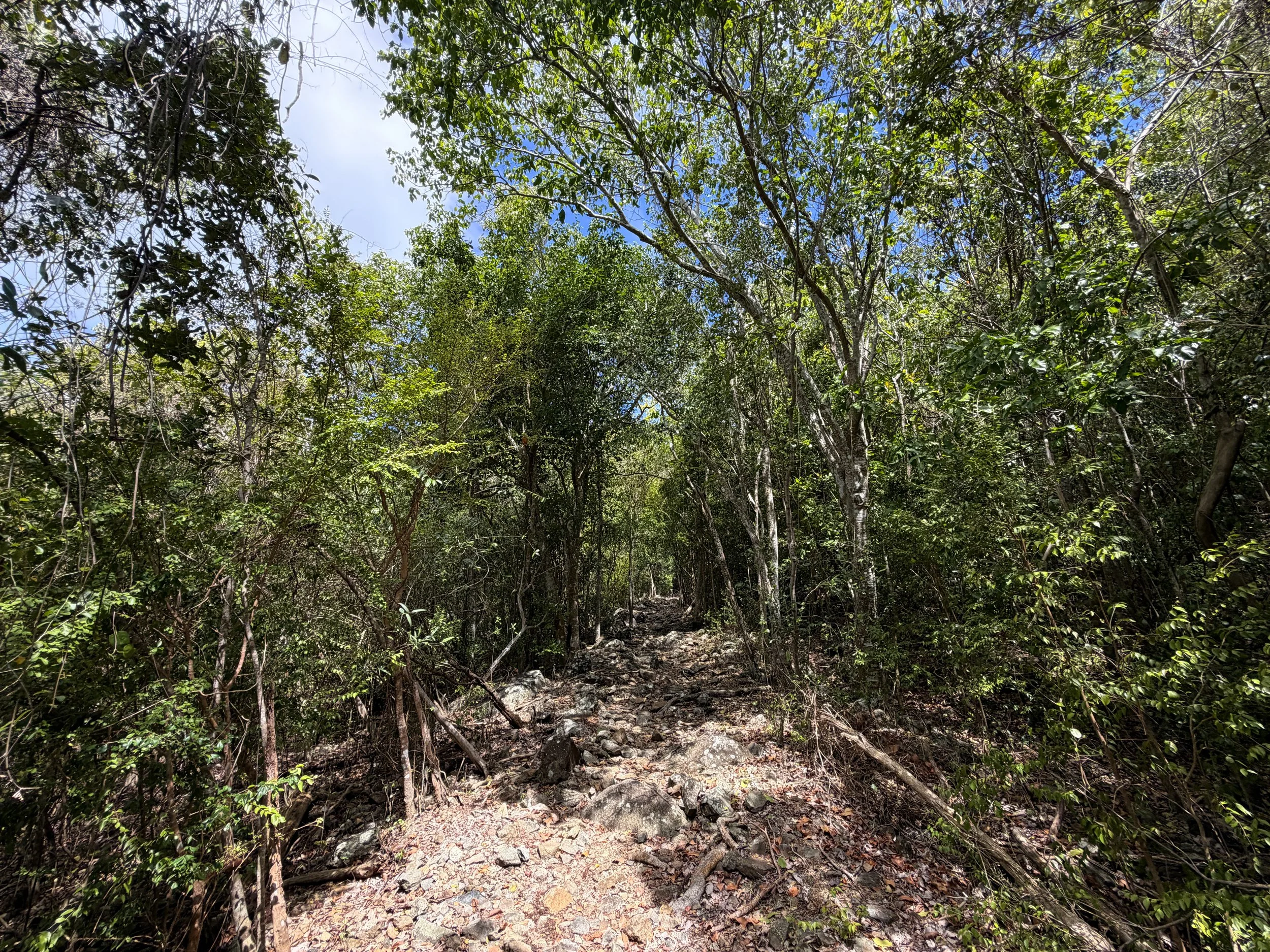 Brown Bay Hike Virgin Islands National Park