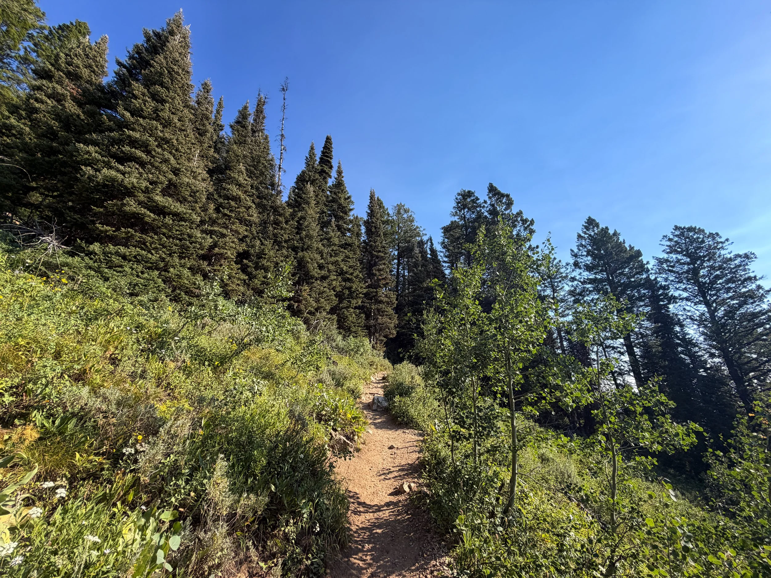Delta Lake Hike Switchbacks Grand Teton National Park Wyoming